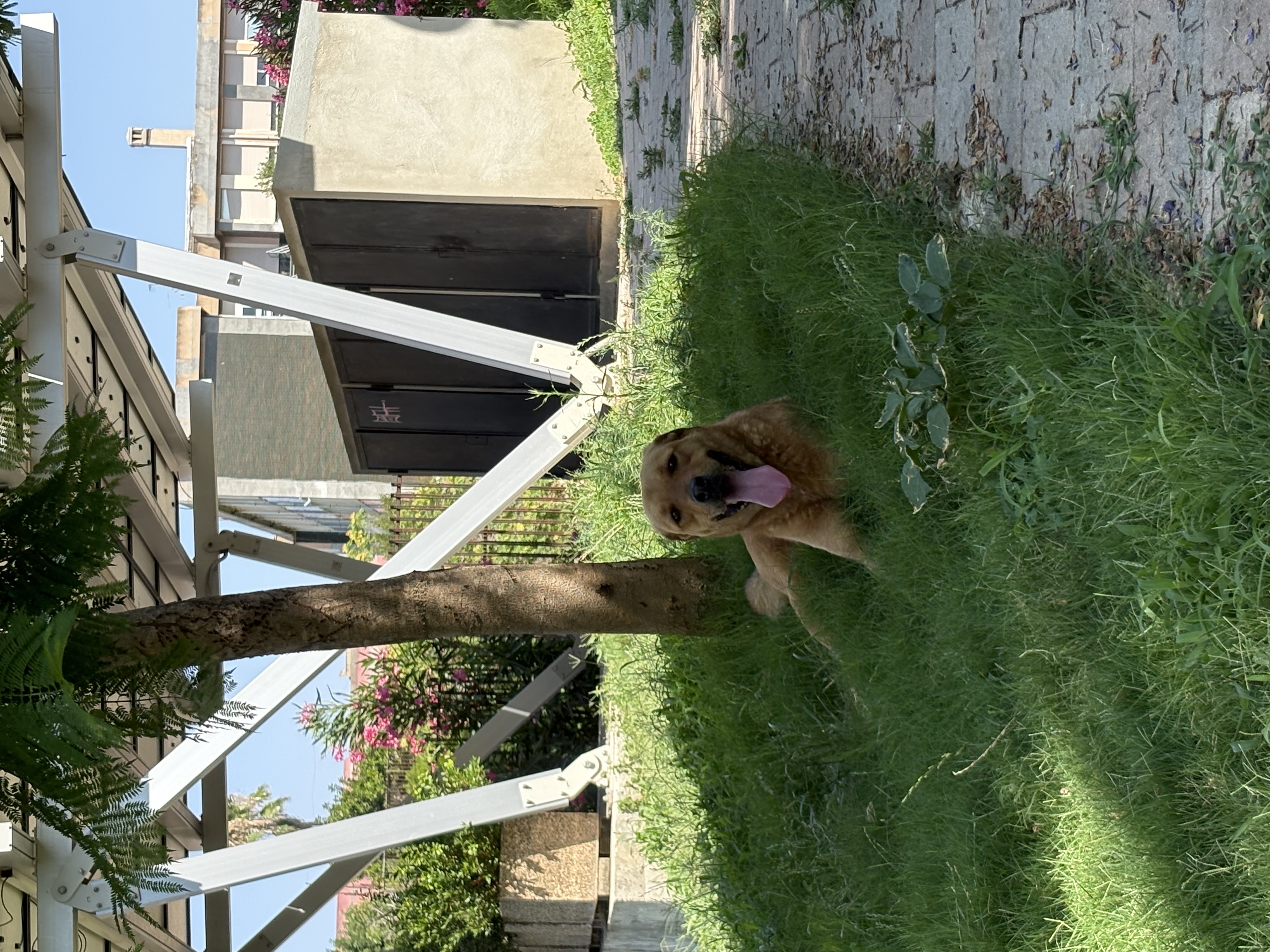 image-9