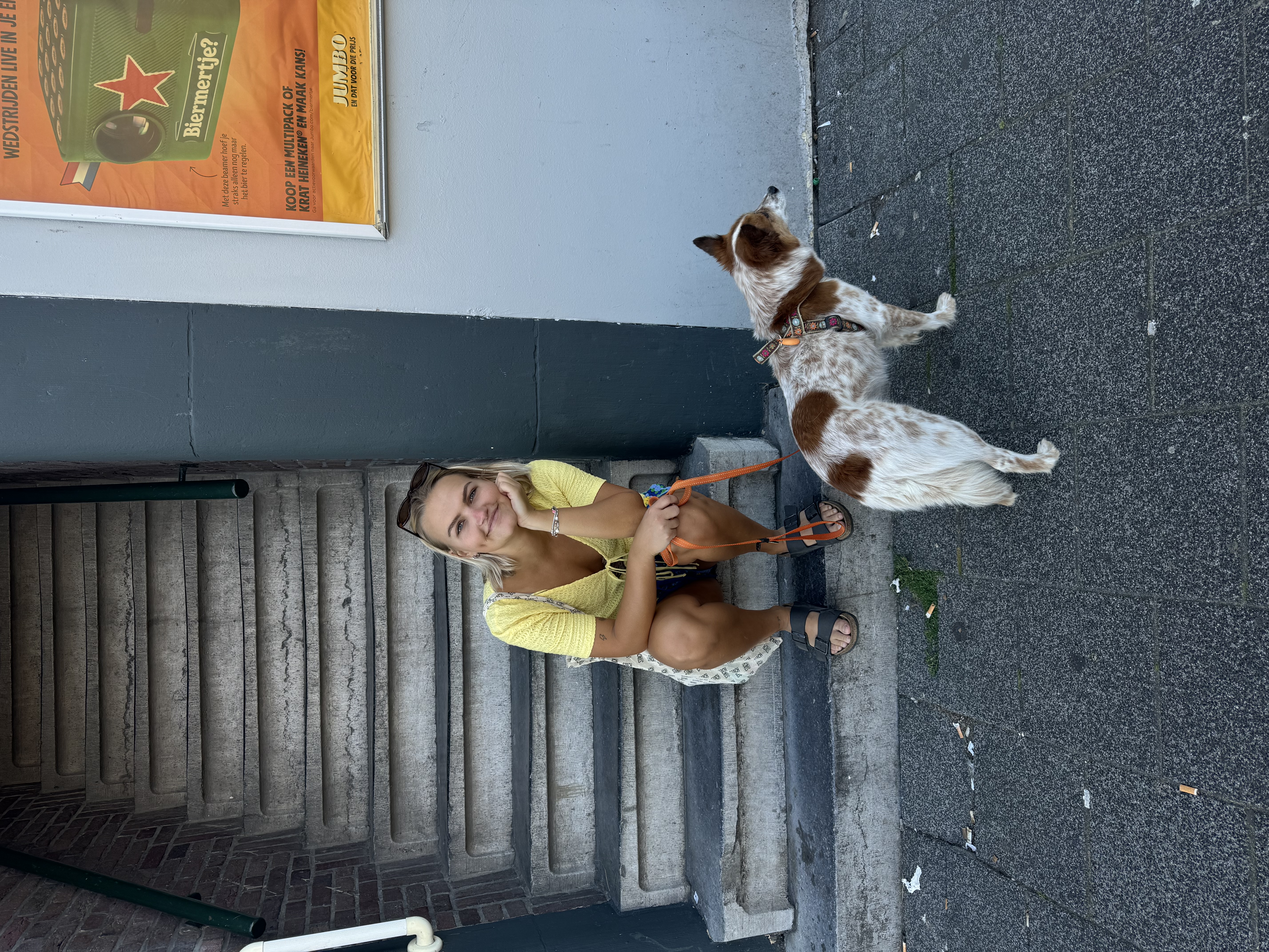 image-3