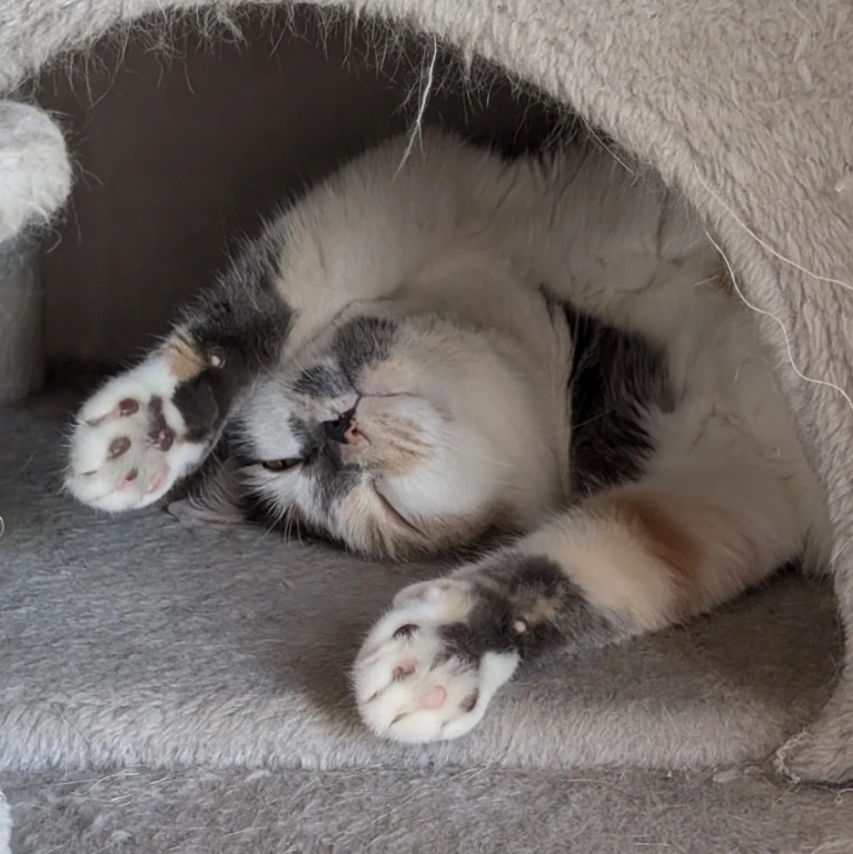 Luna 