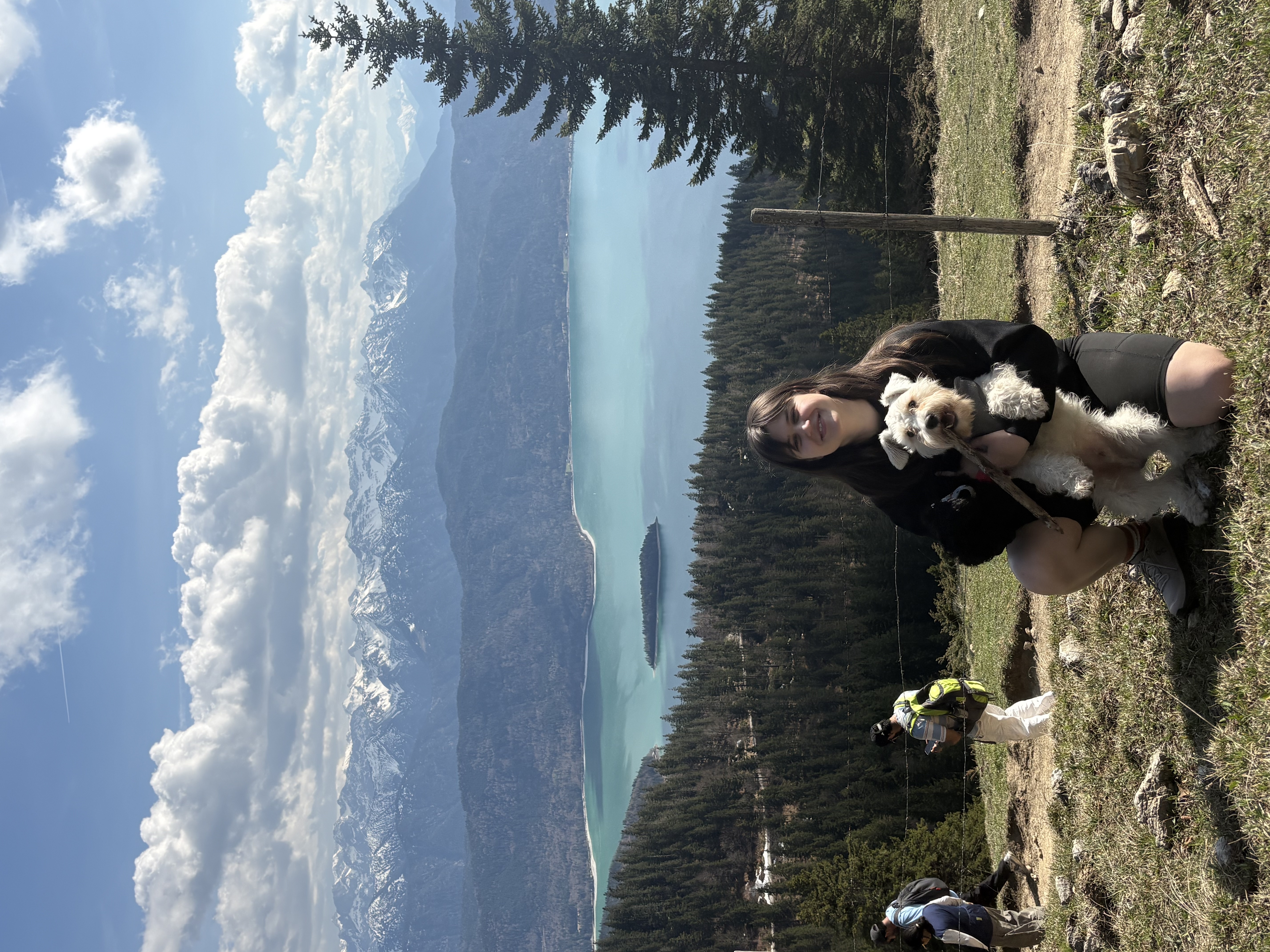 image-1