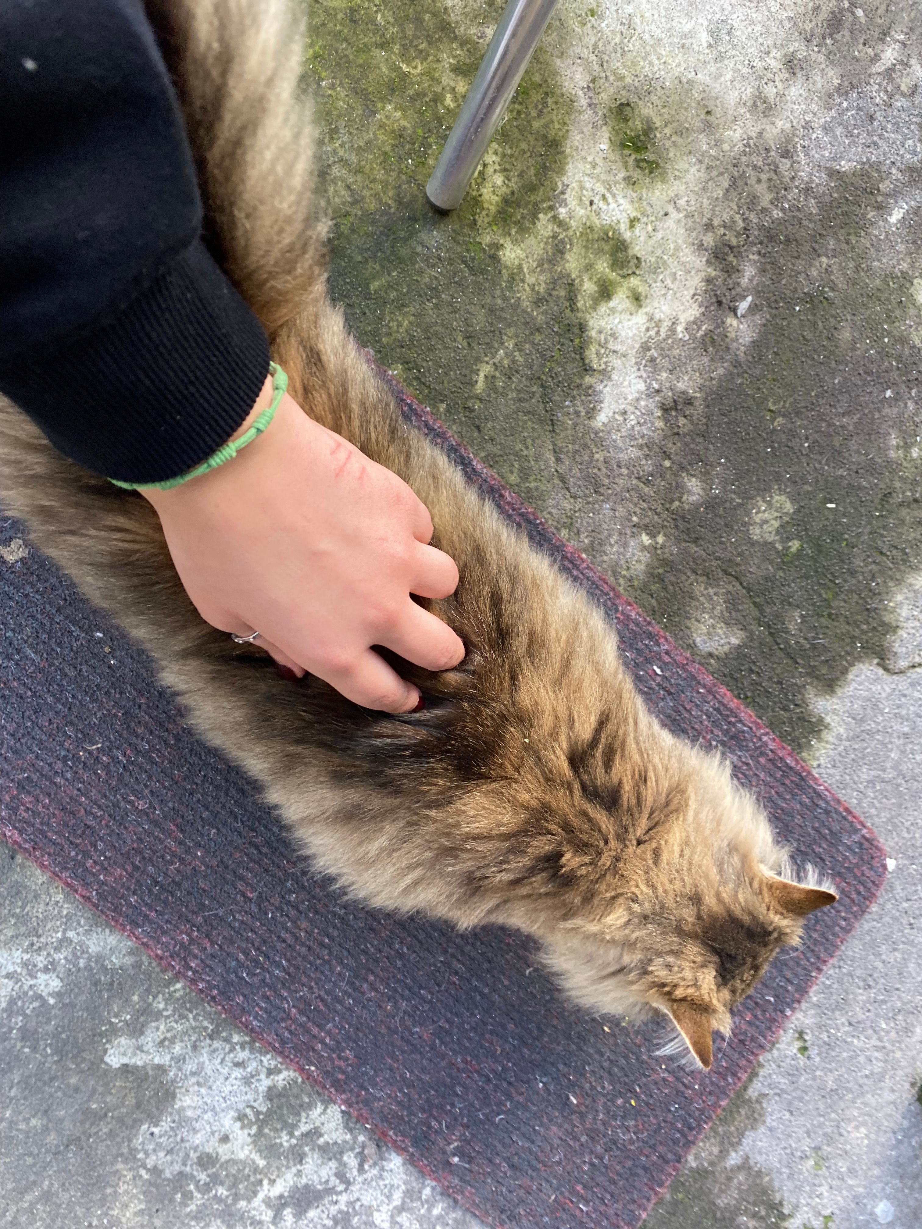 image-6