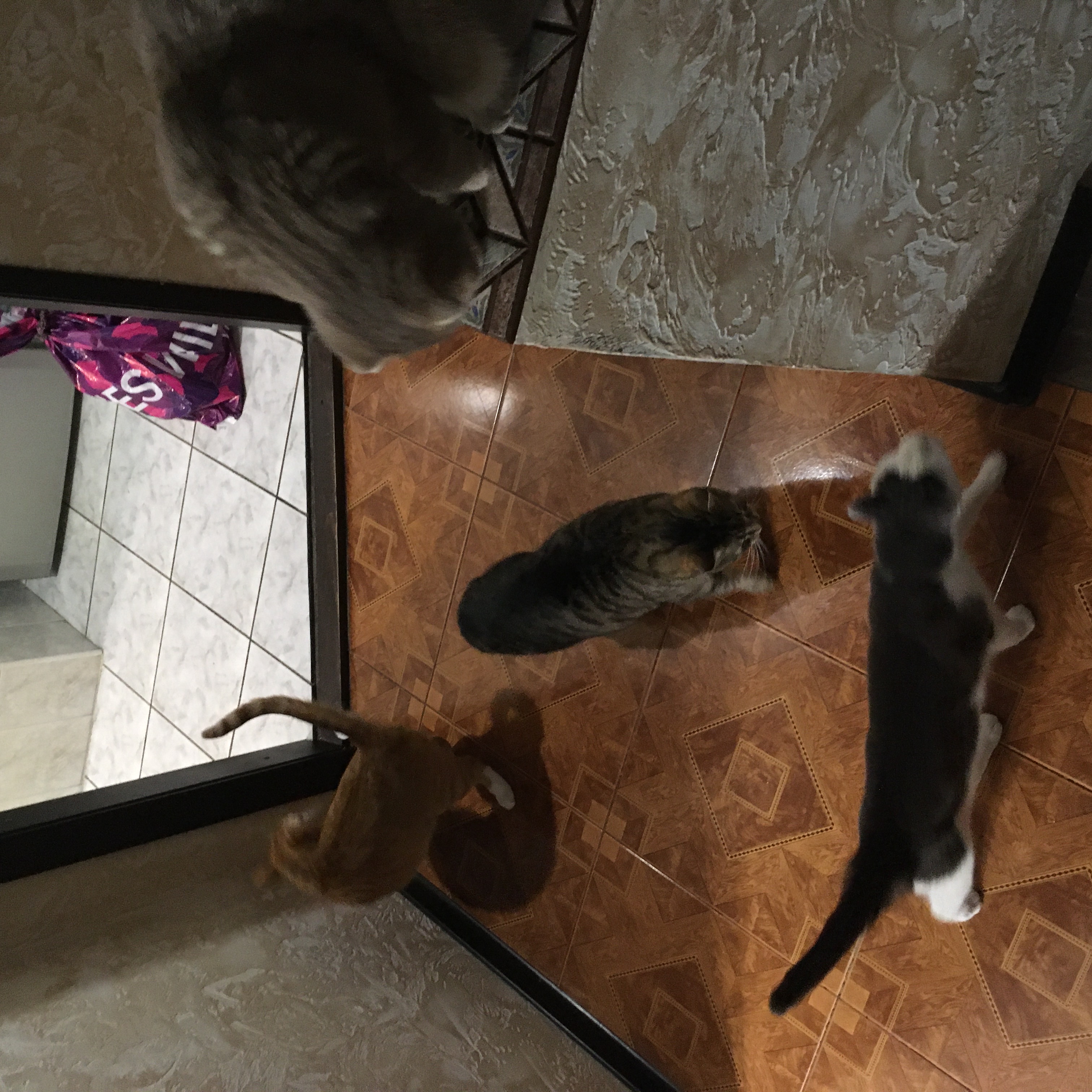 image-9