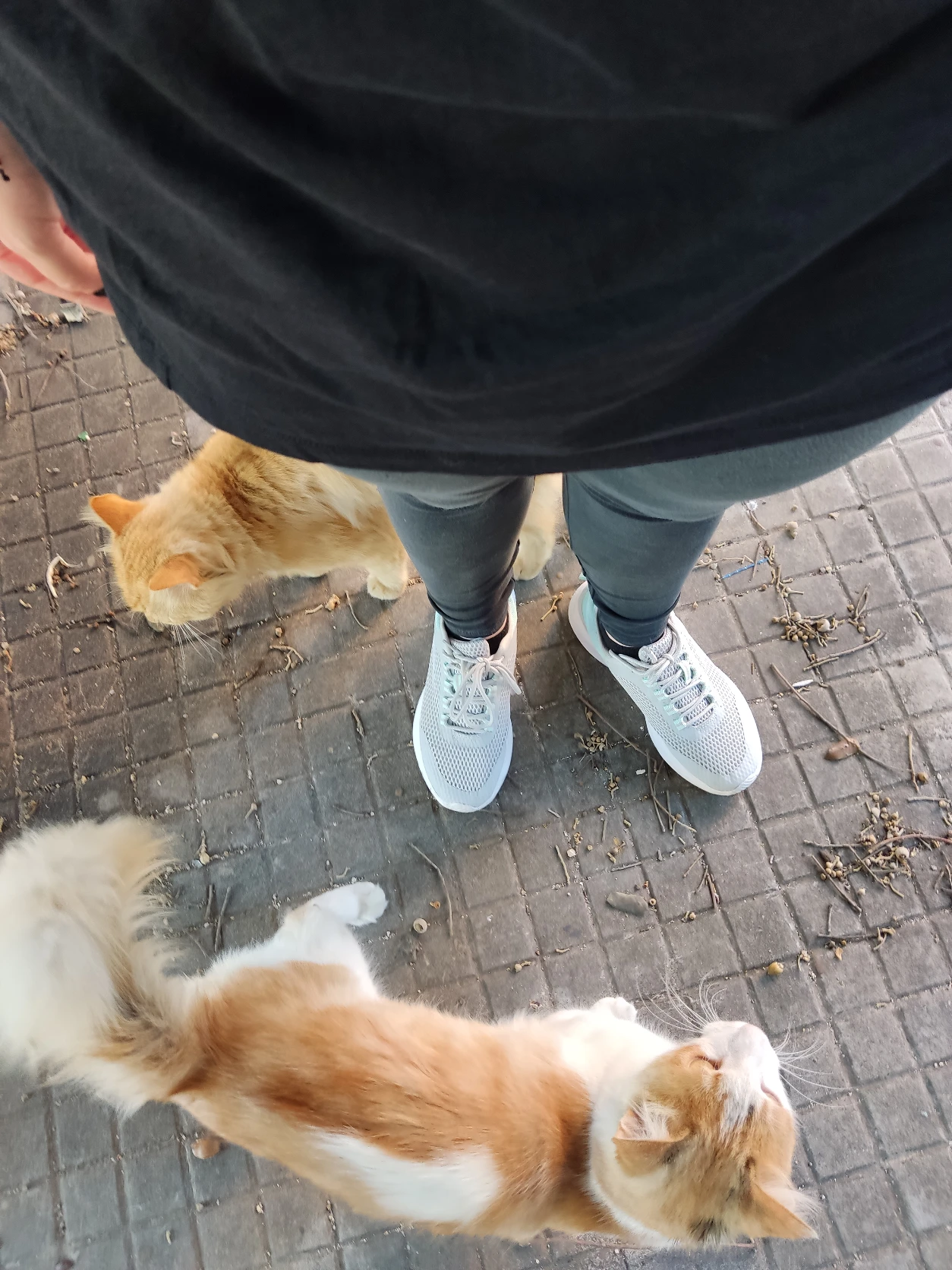image-6