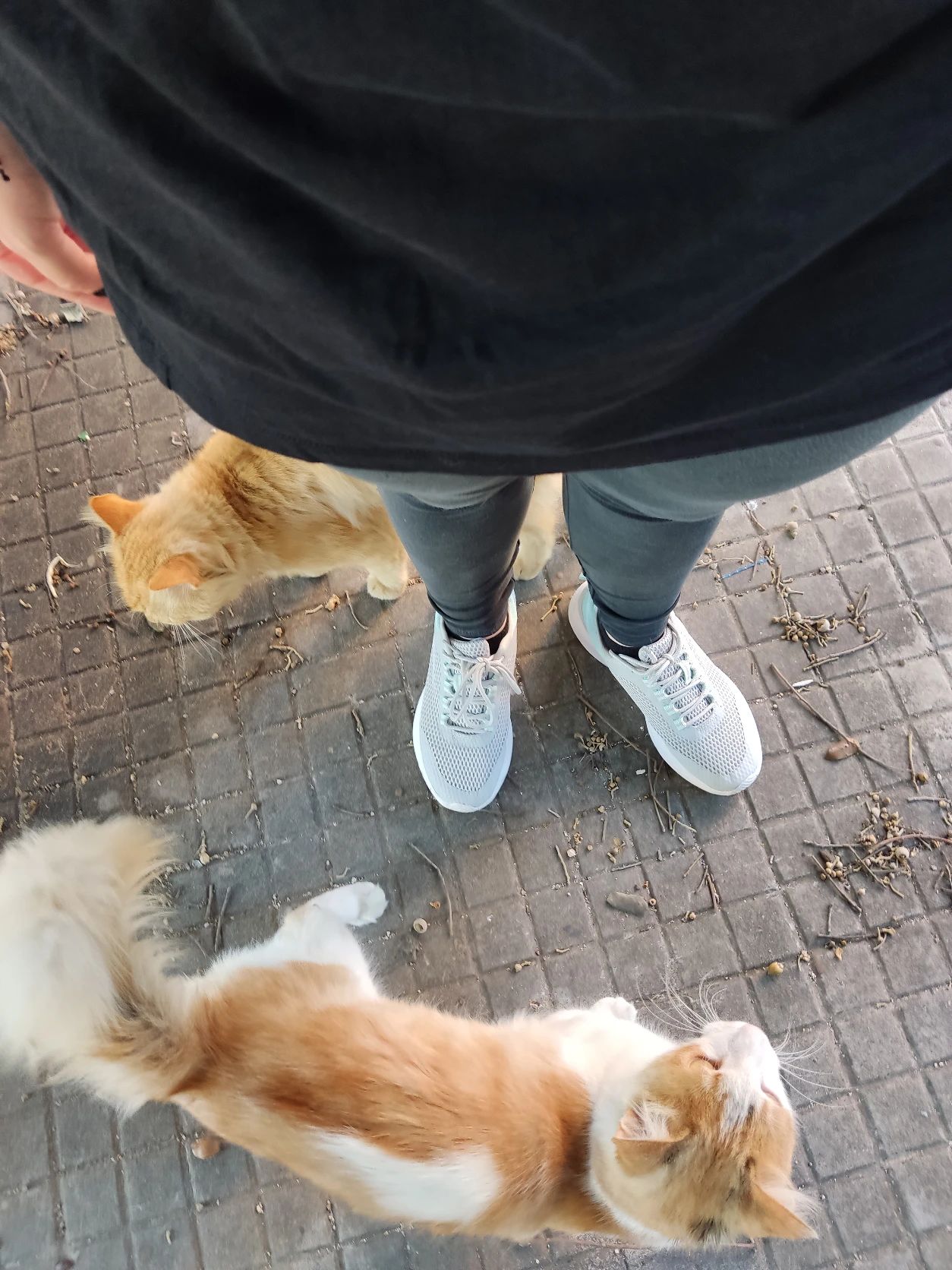 image-6