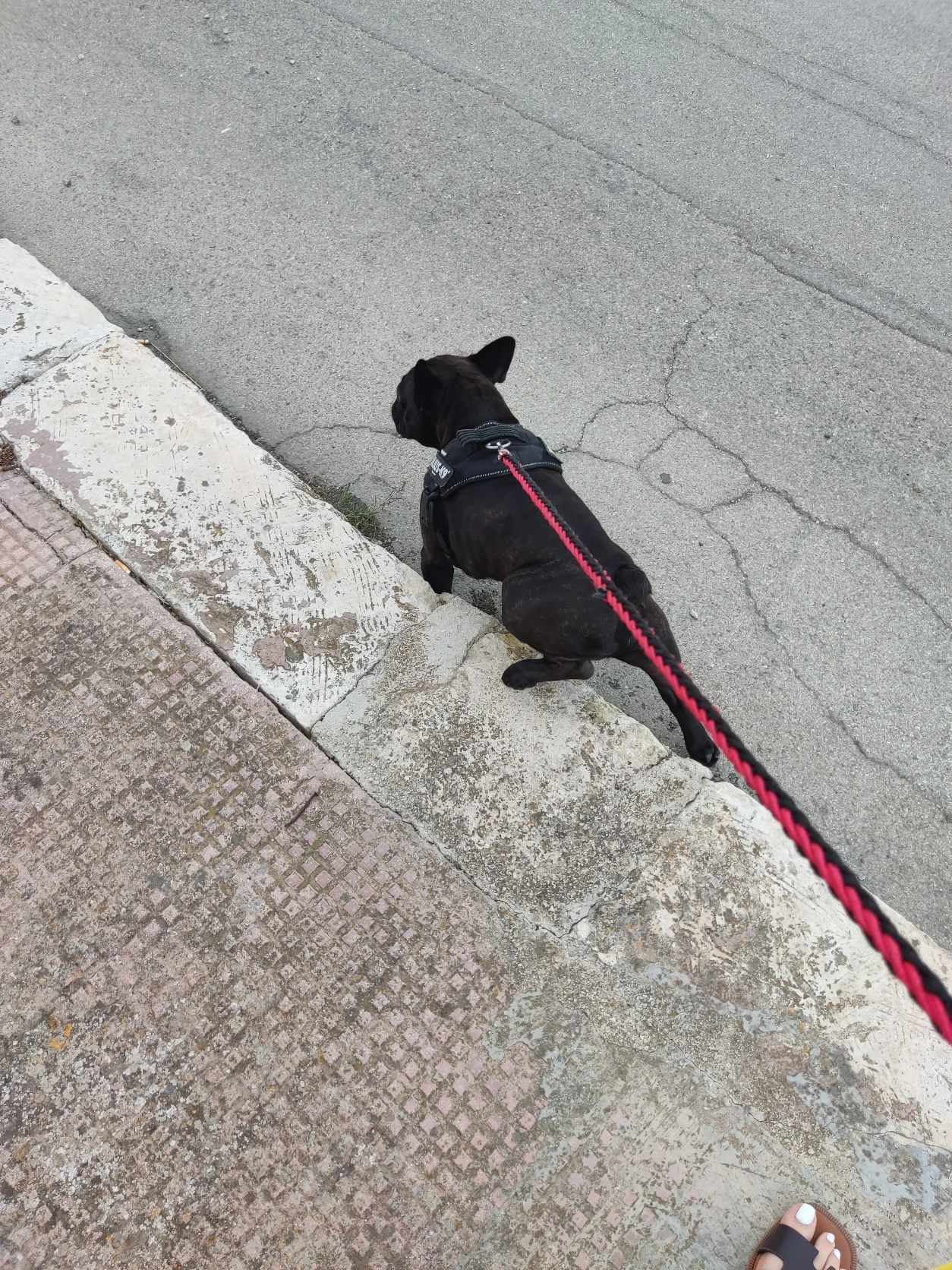 image-18