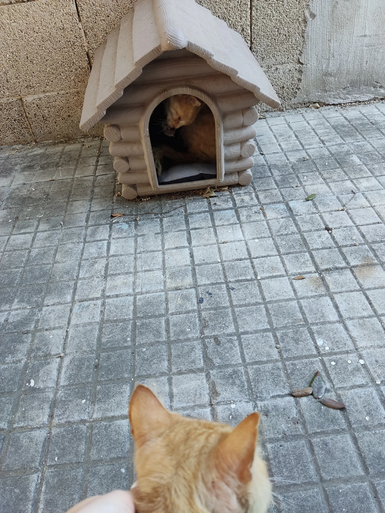 image-16