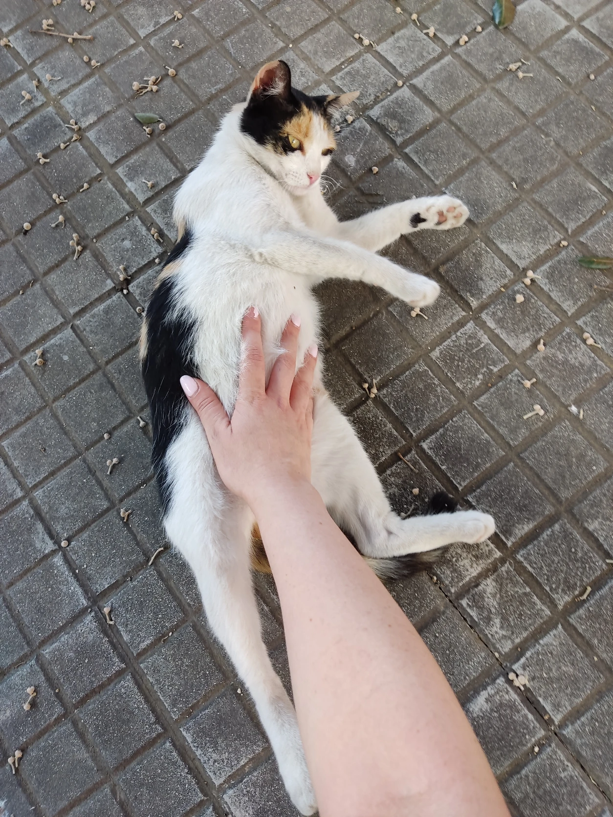 image-7