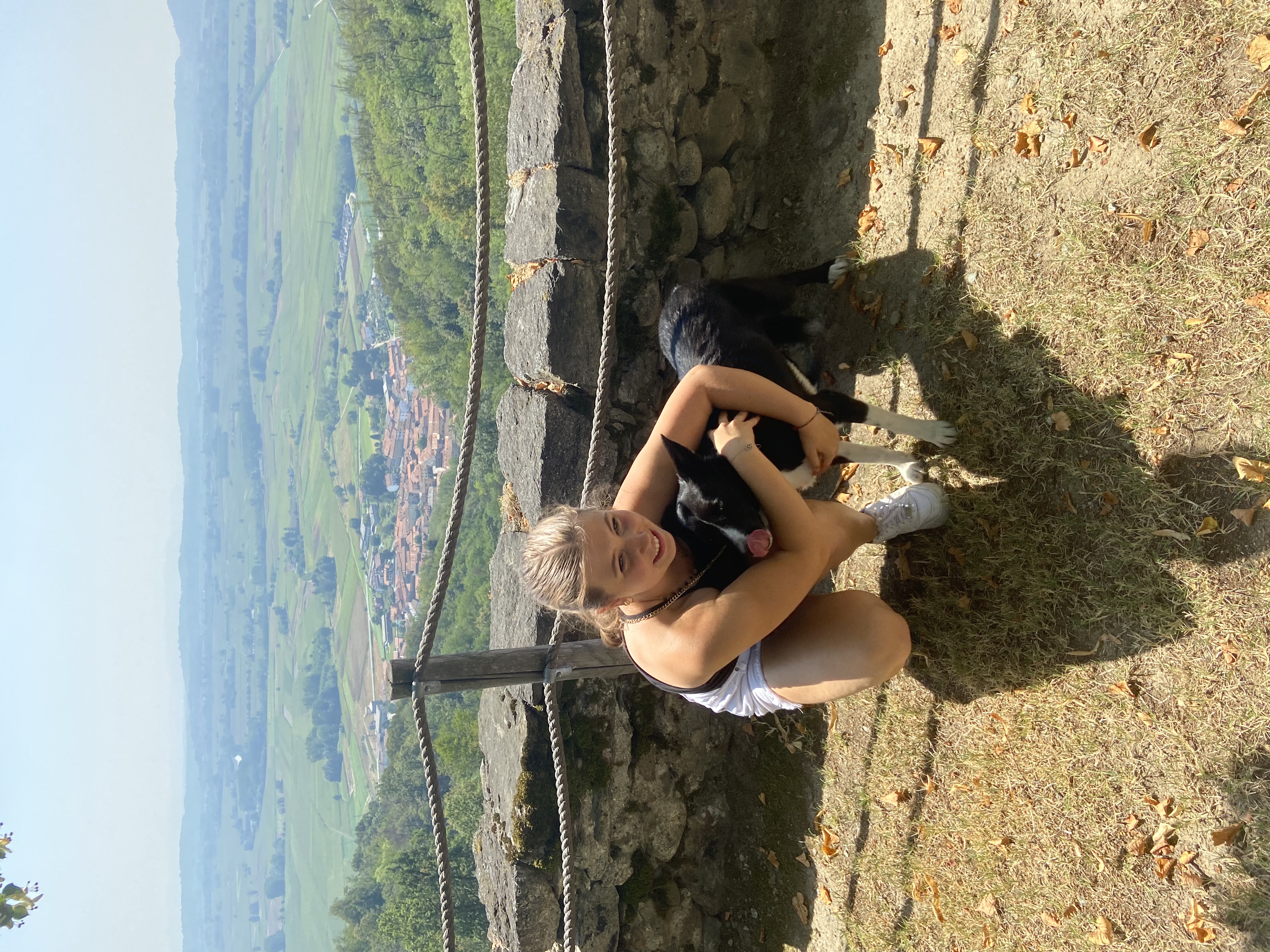 image-8