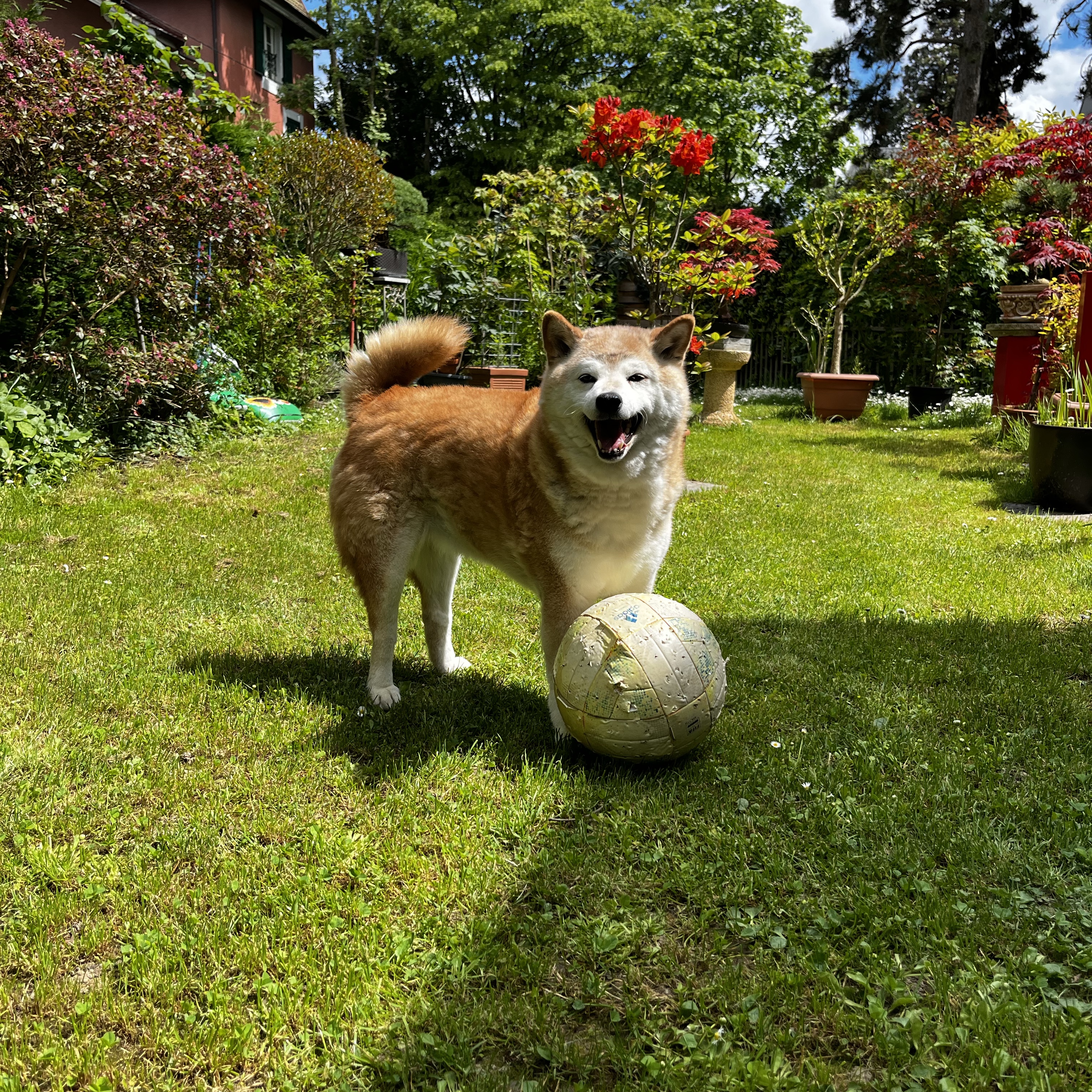 Keiko 