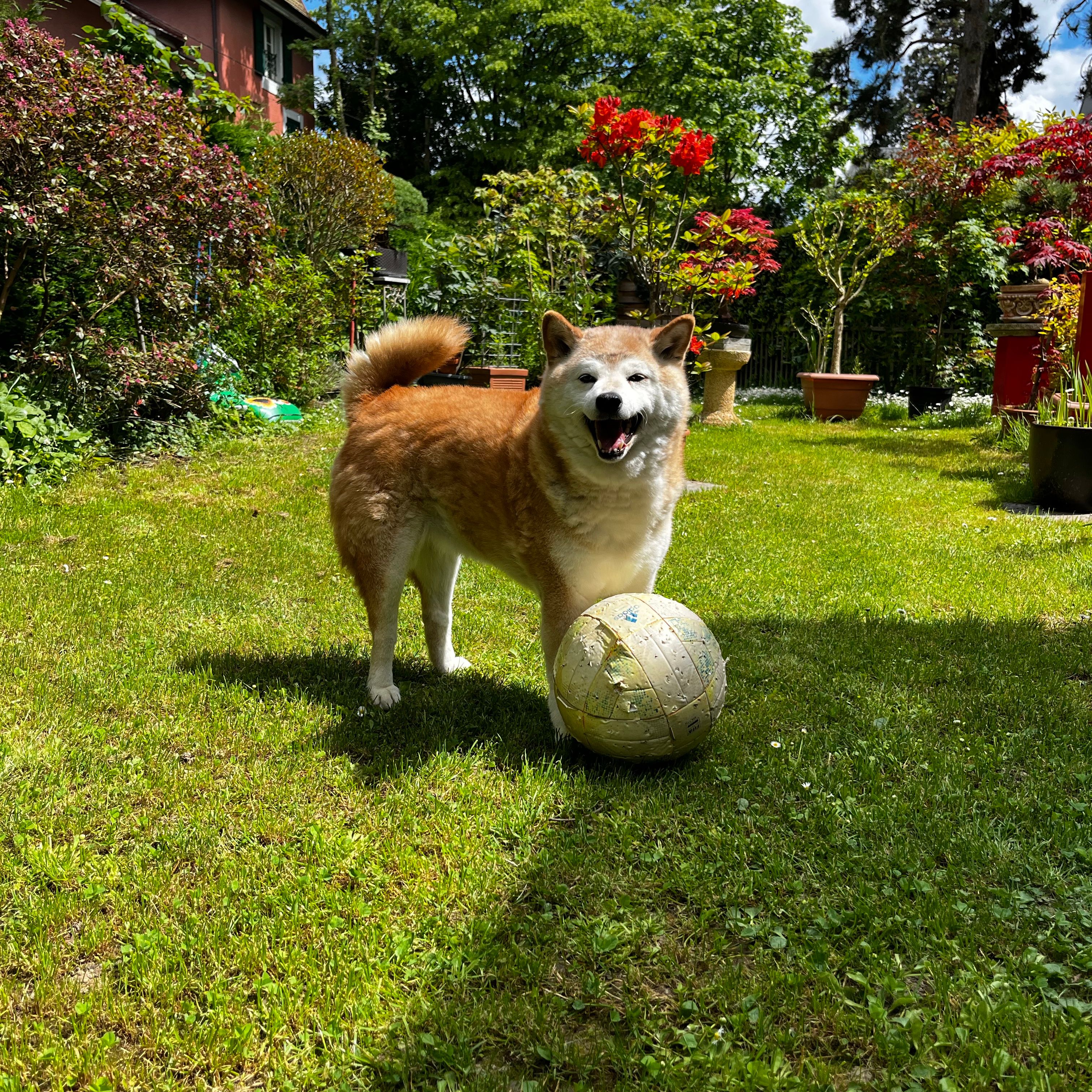 Keiko