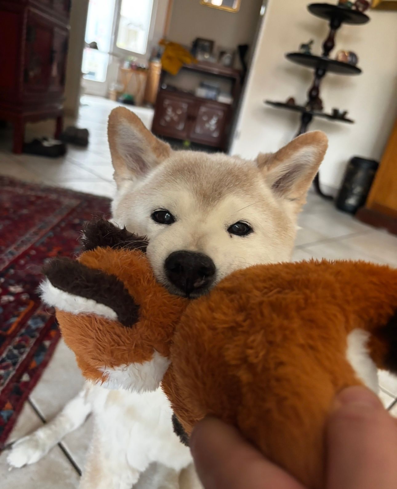 image-9