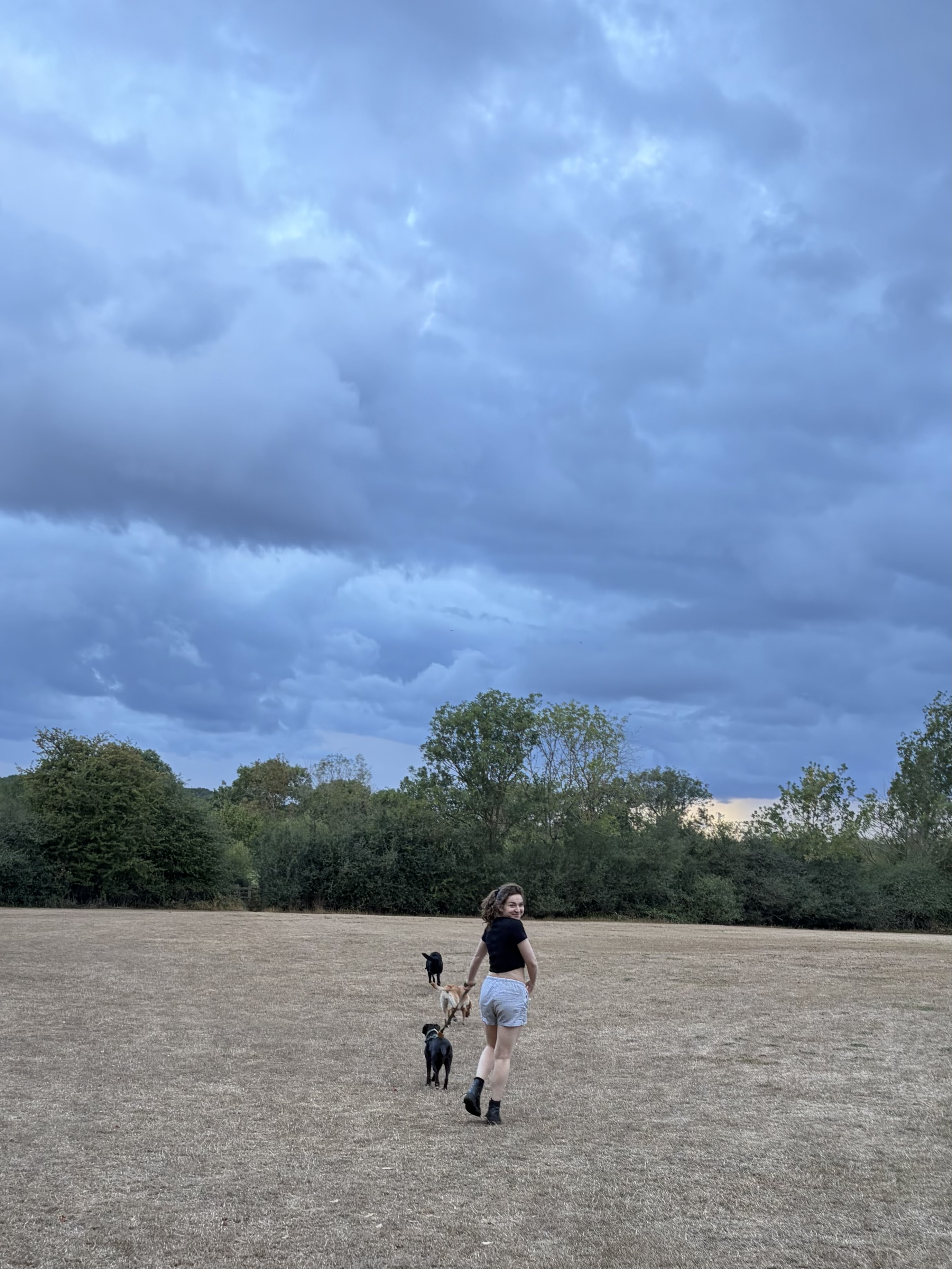 image-14