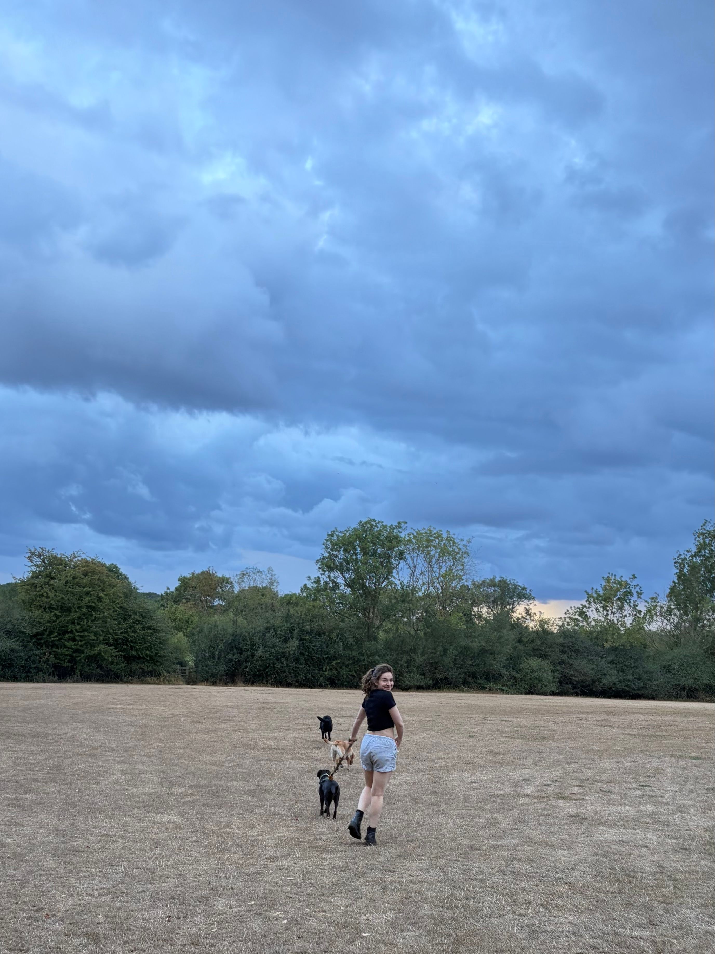 image-14