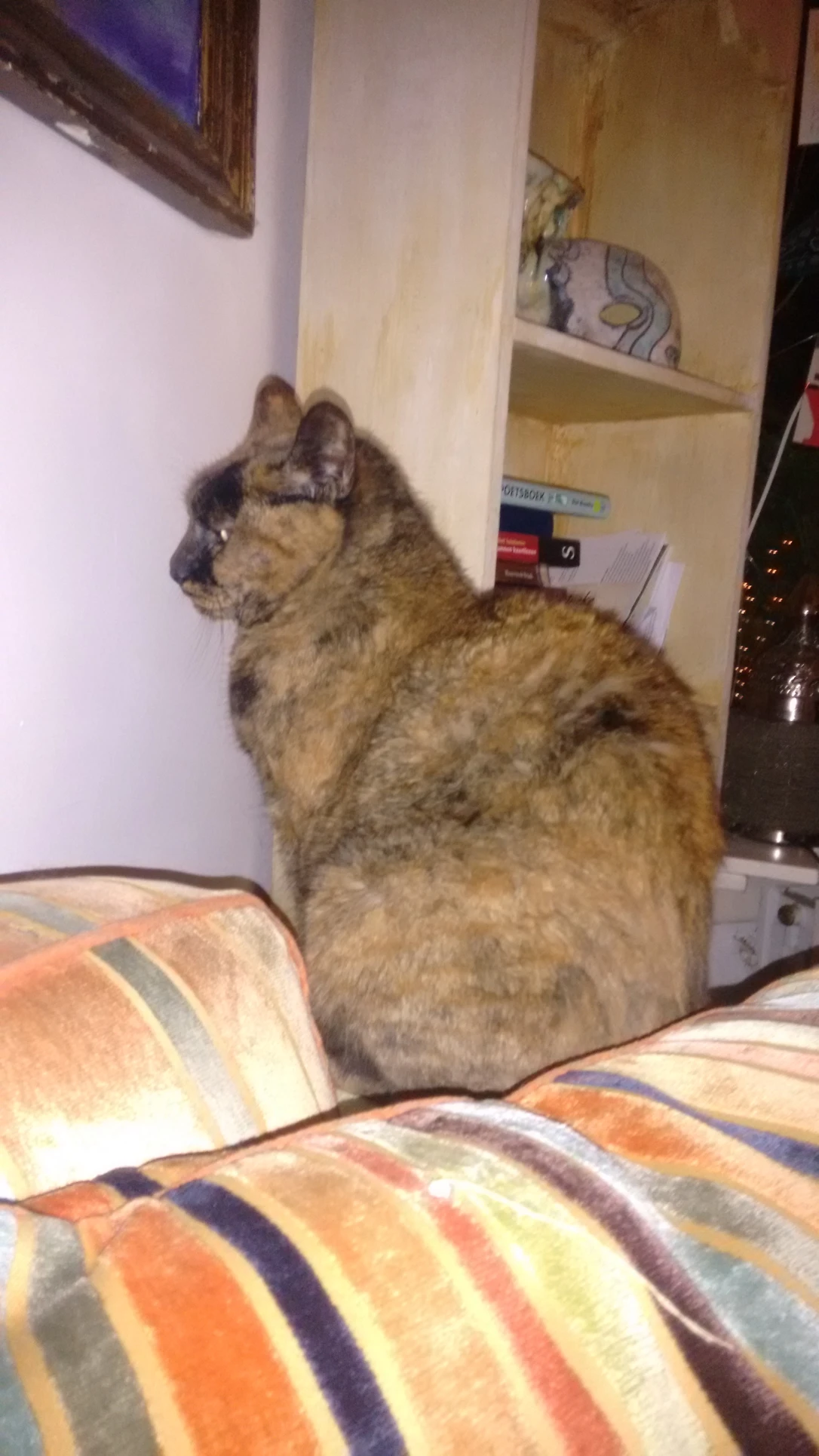image-6
