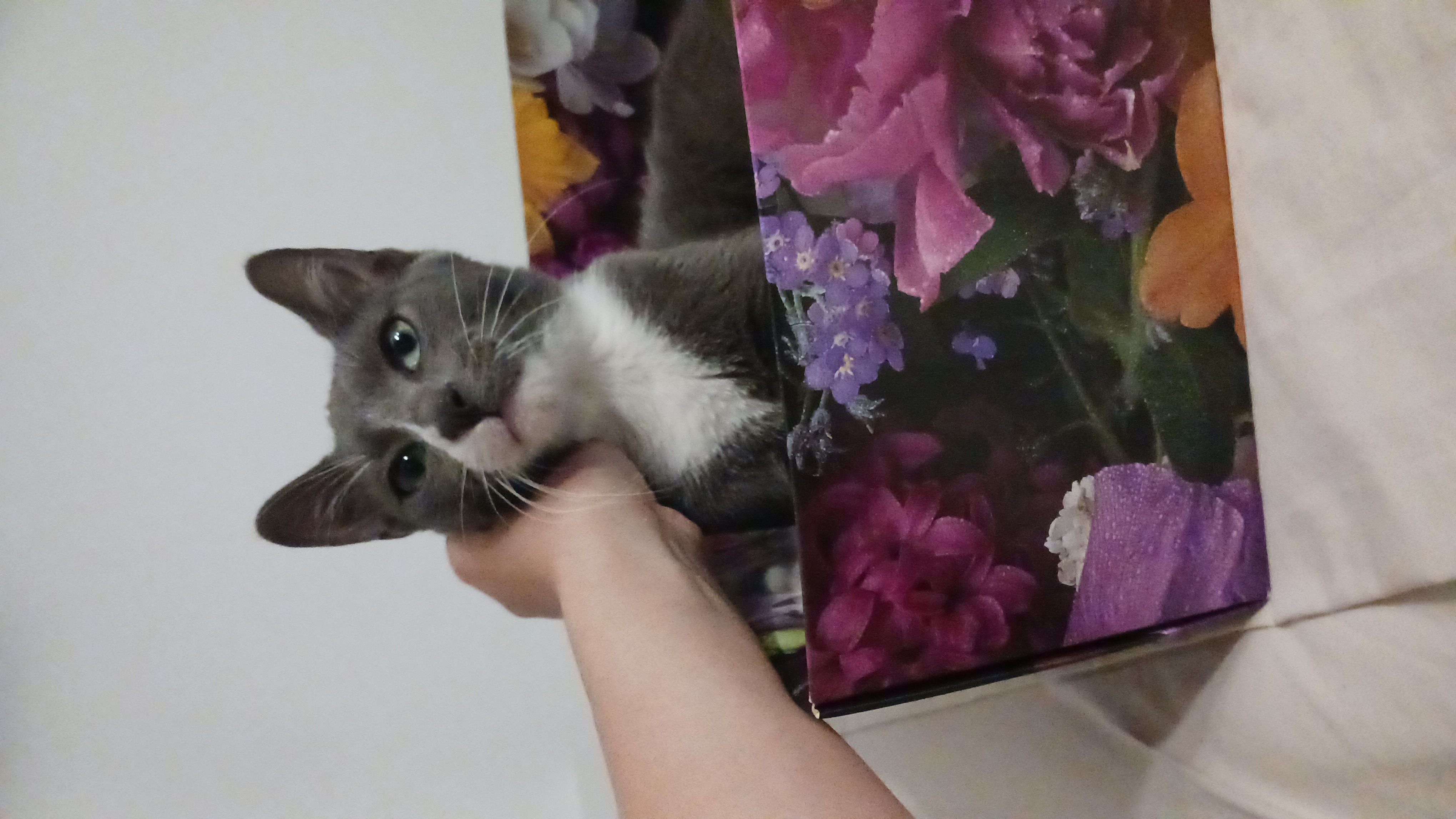 image-6