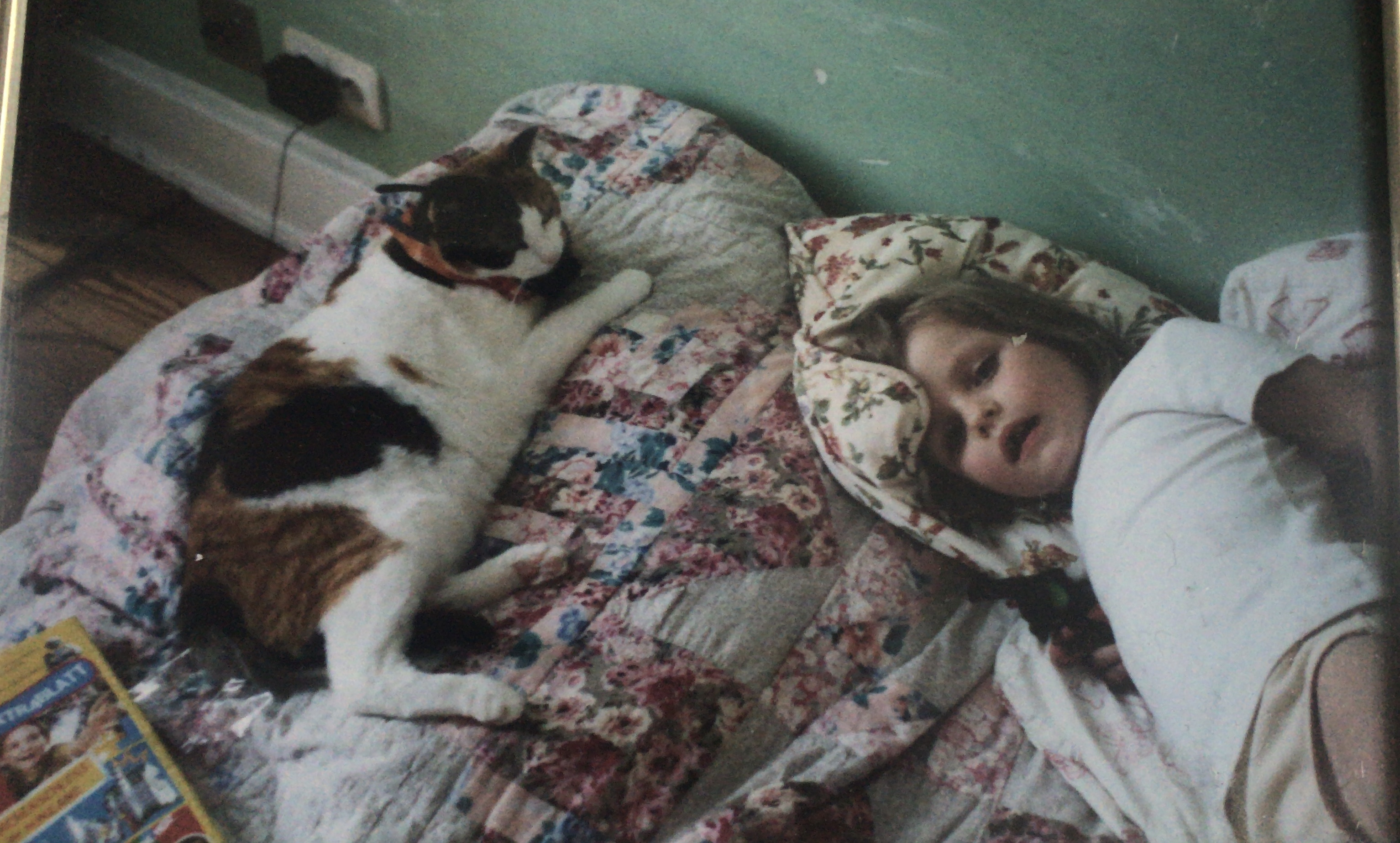 image-9