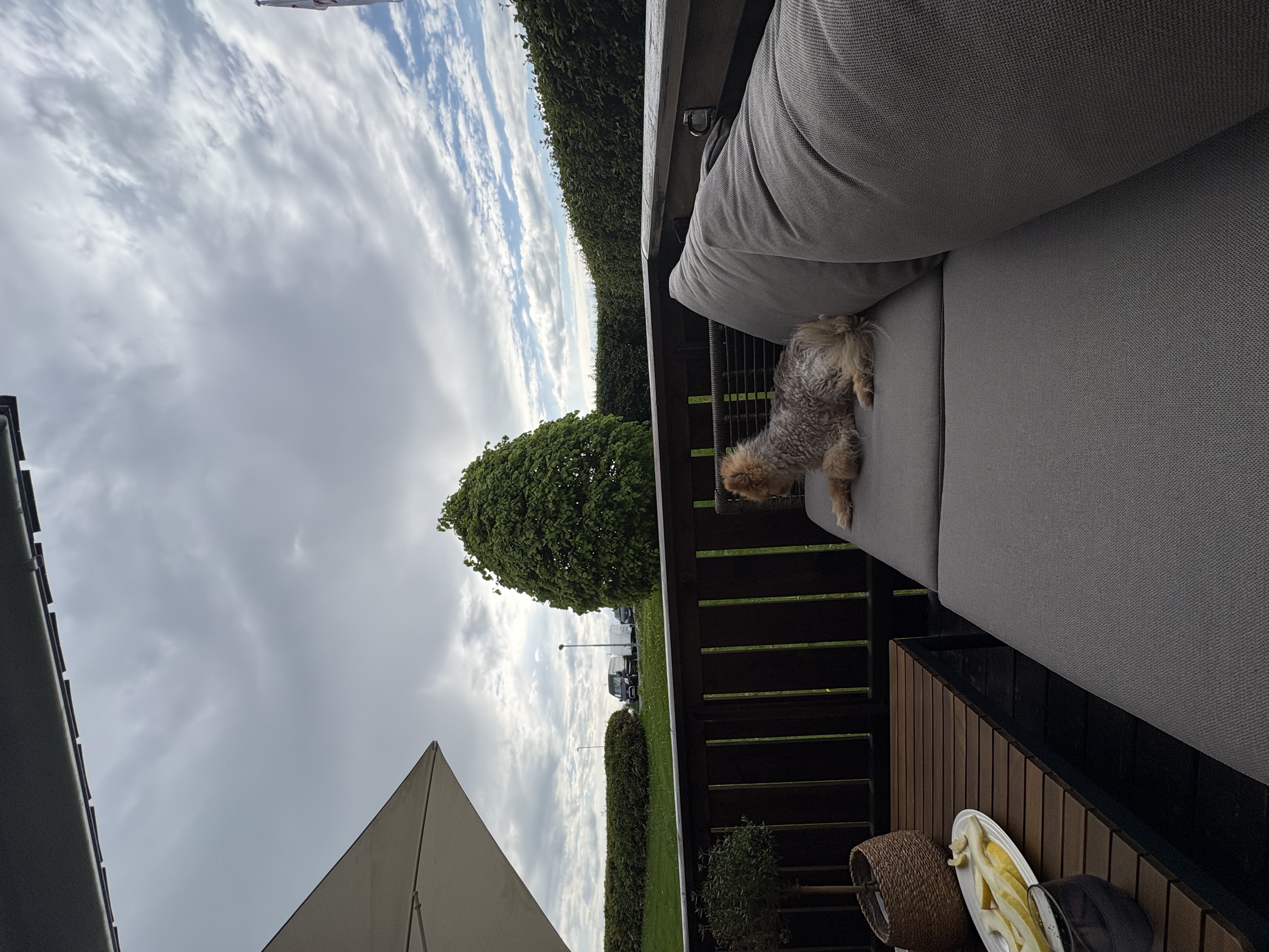 image-7