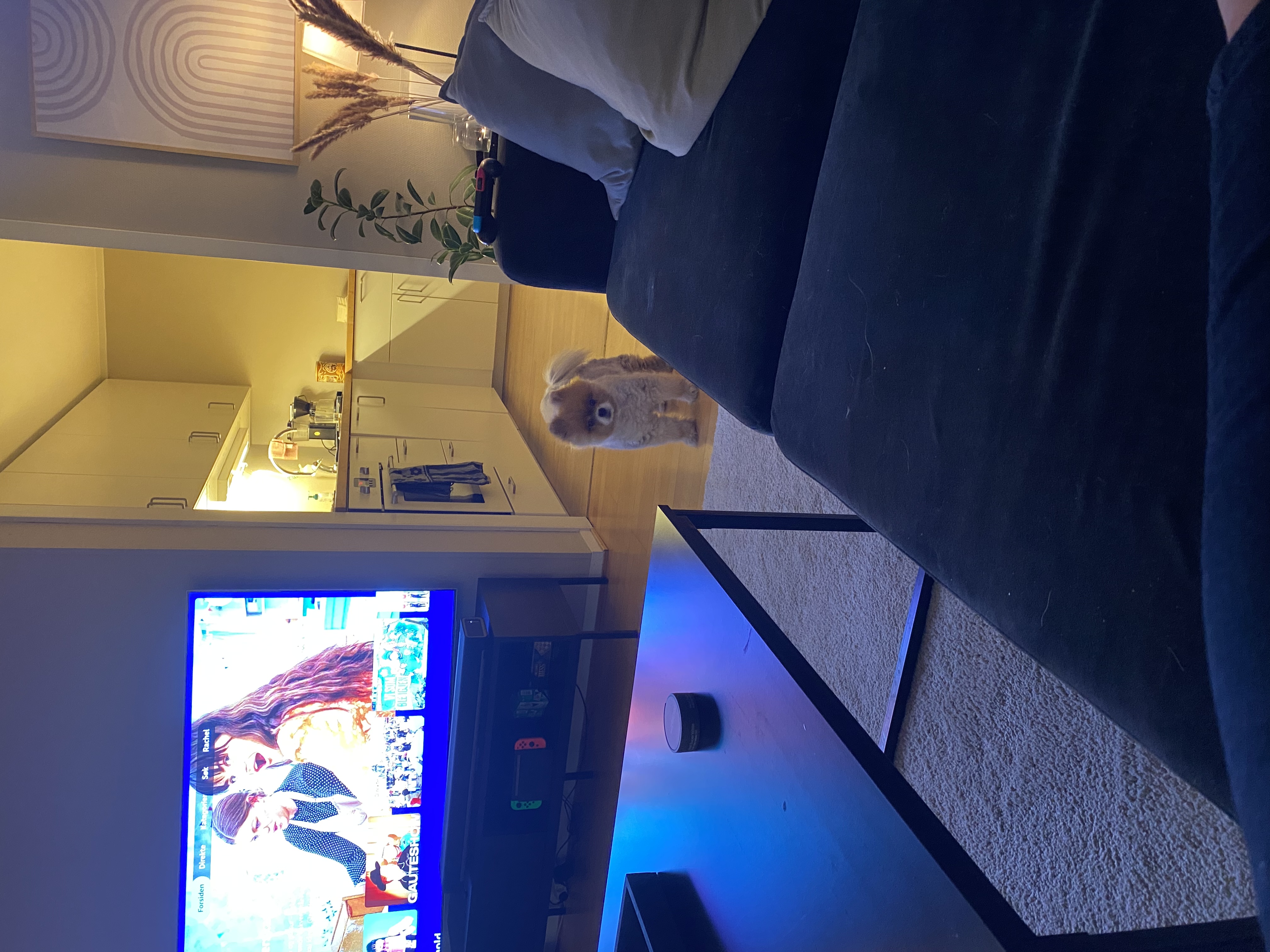 image-9