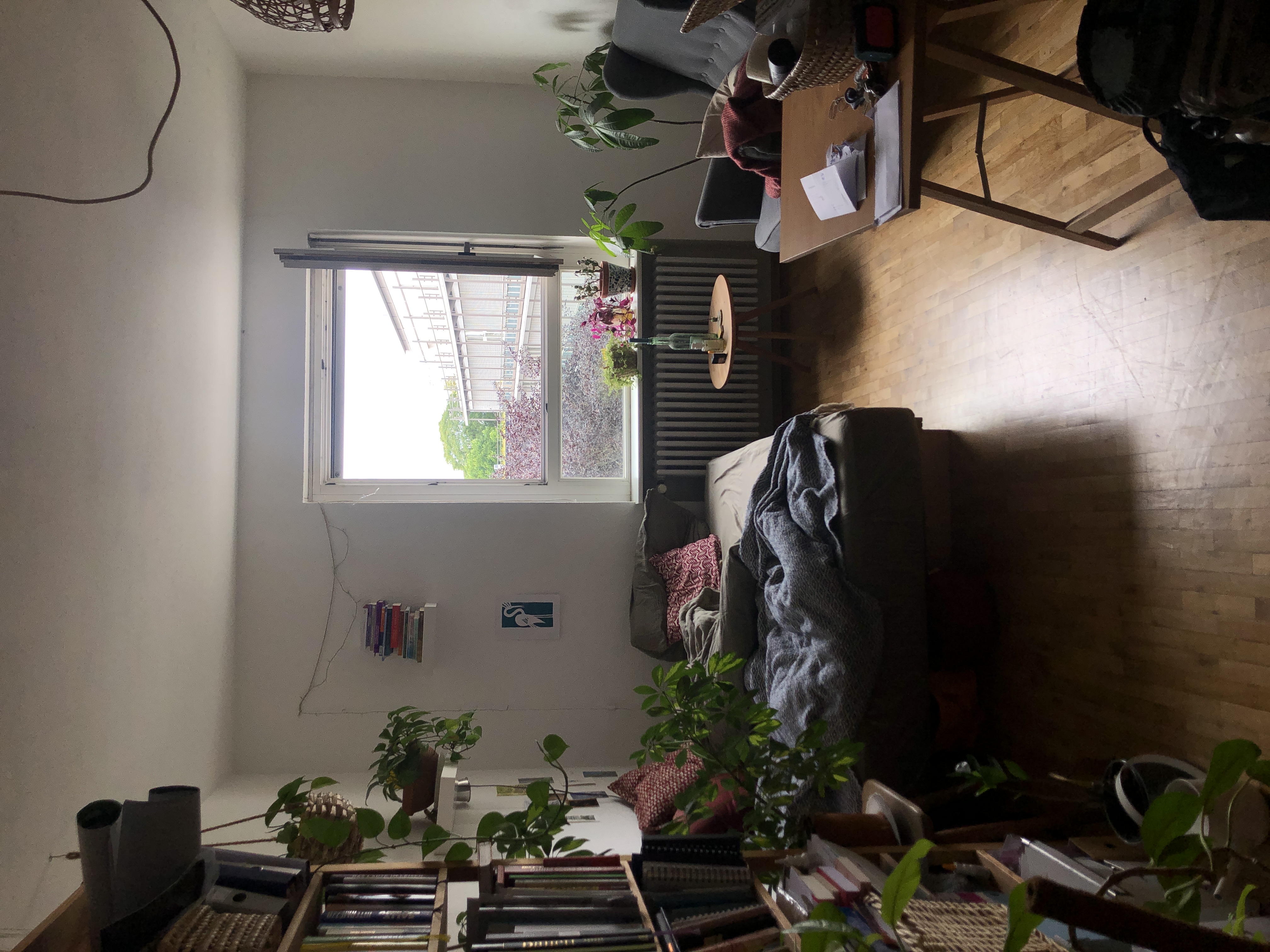 image-18