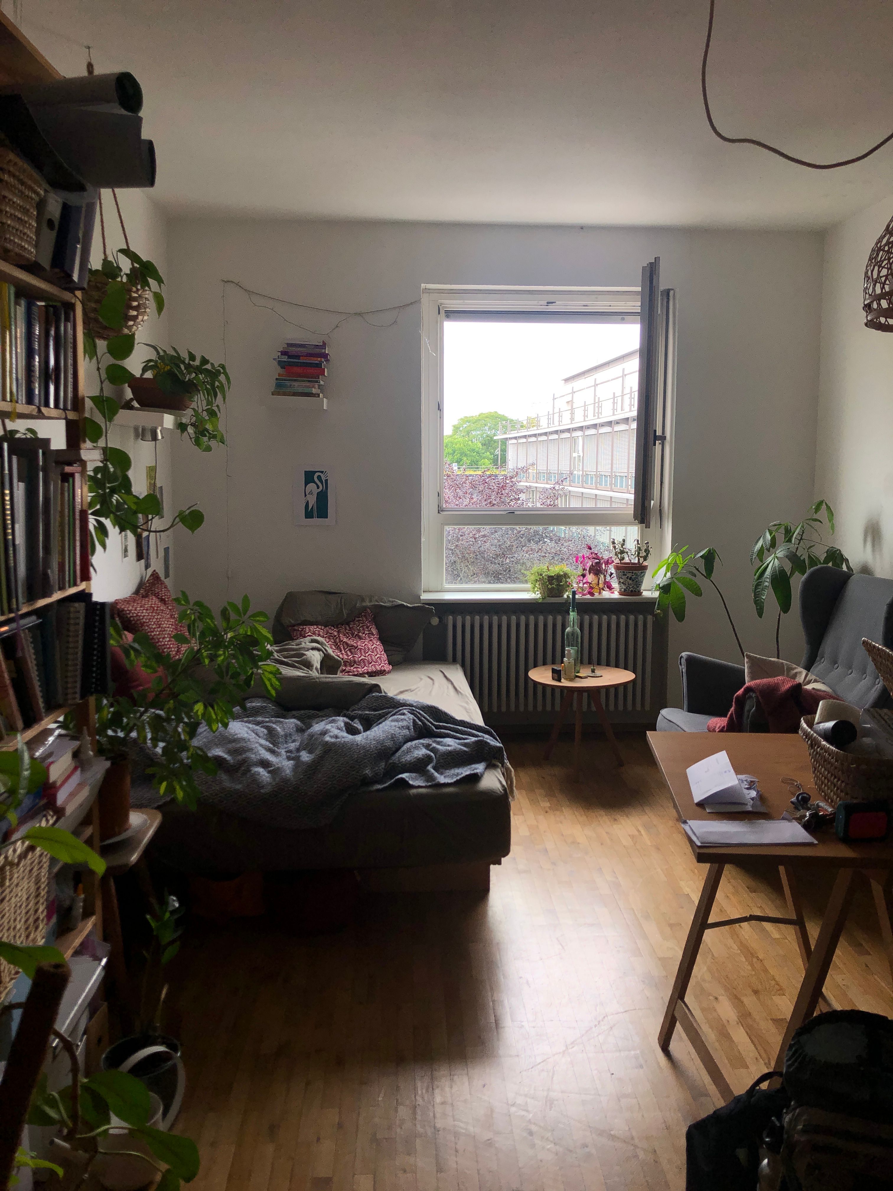 image-18