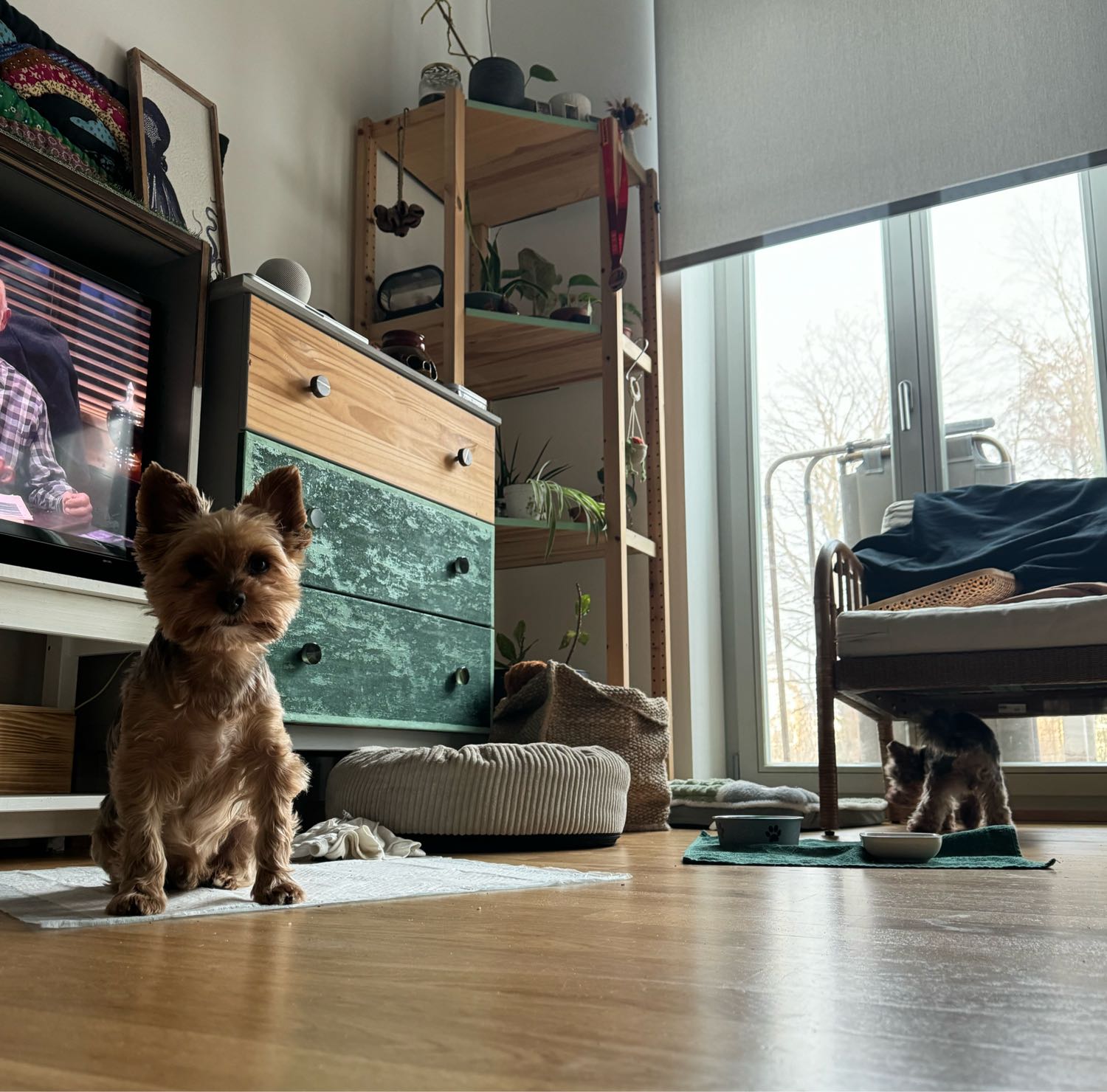 image-10