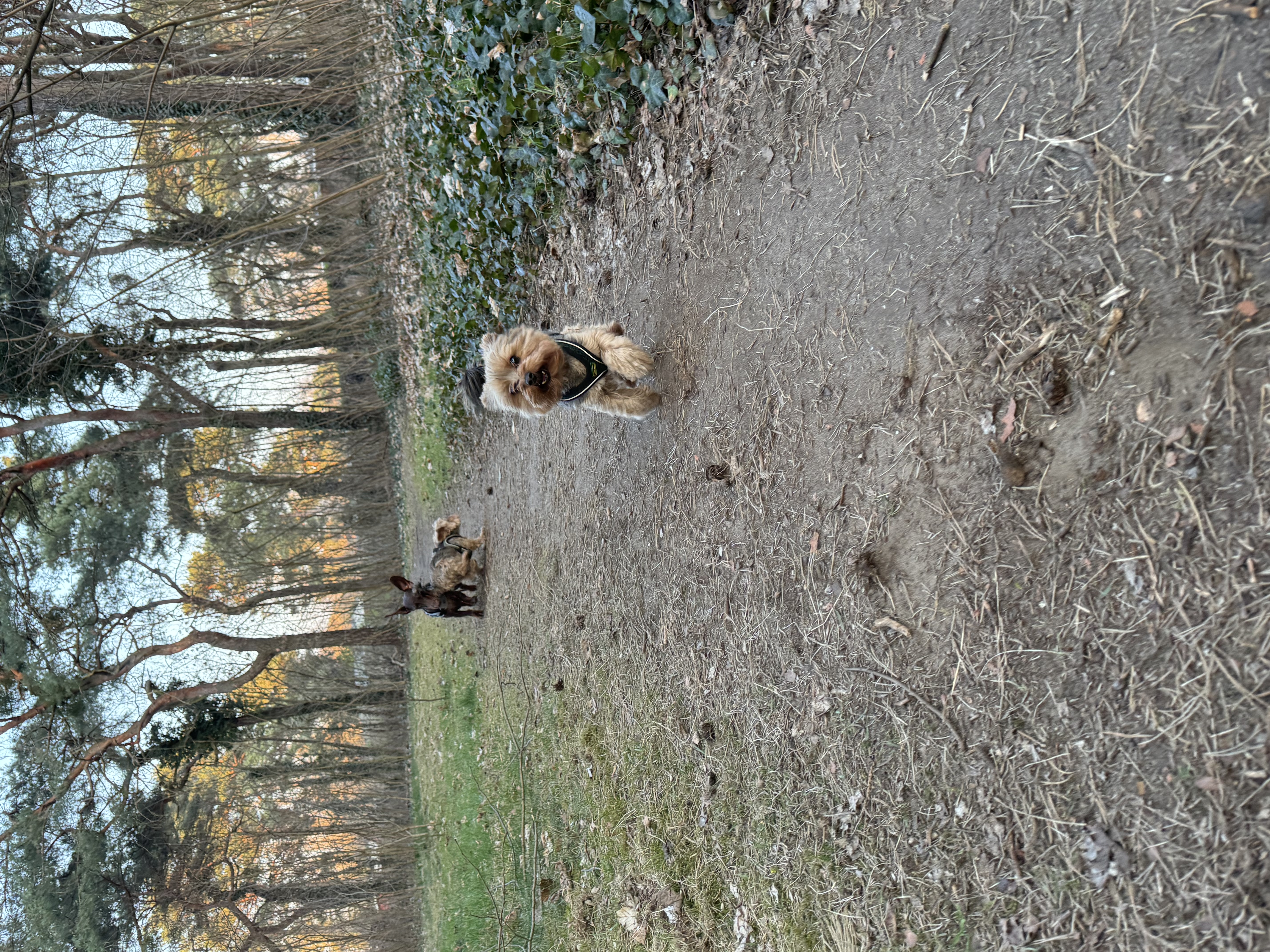 image-11