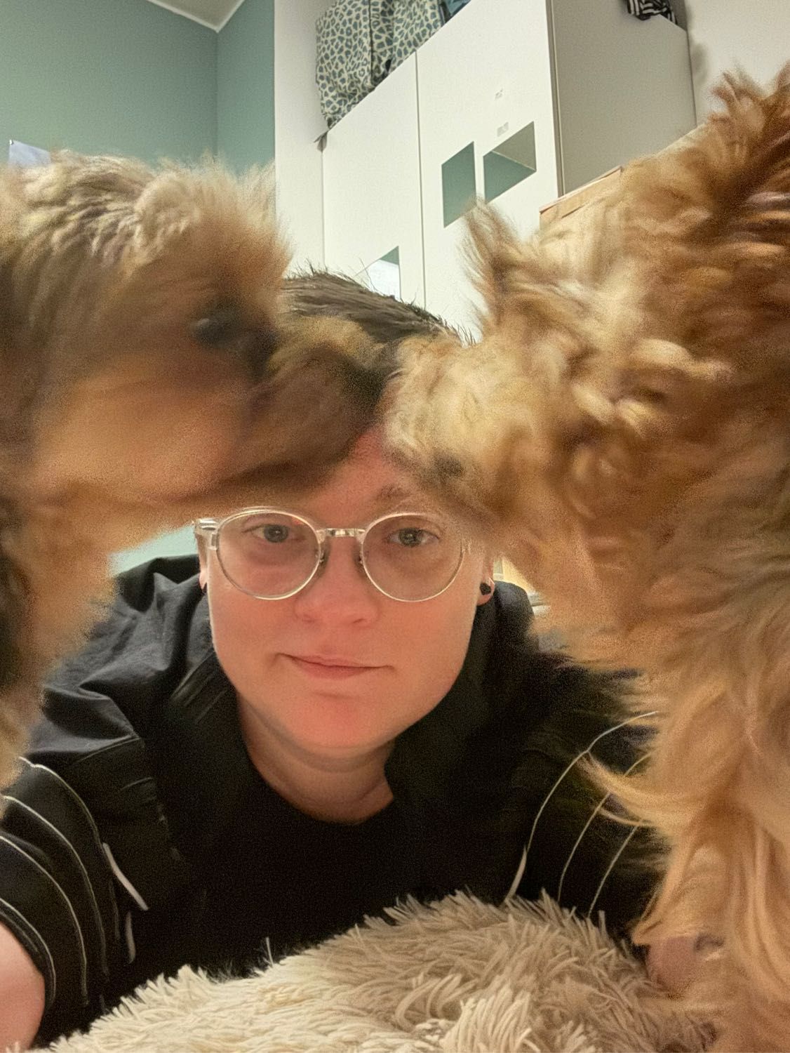 image-2