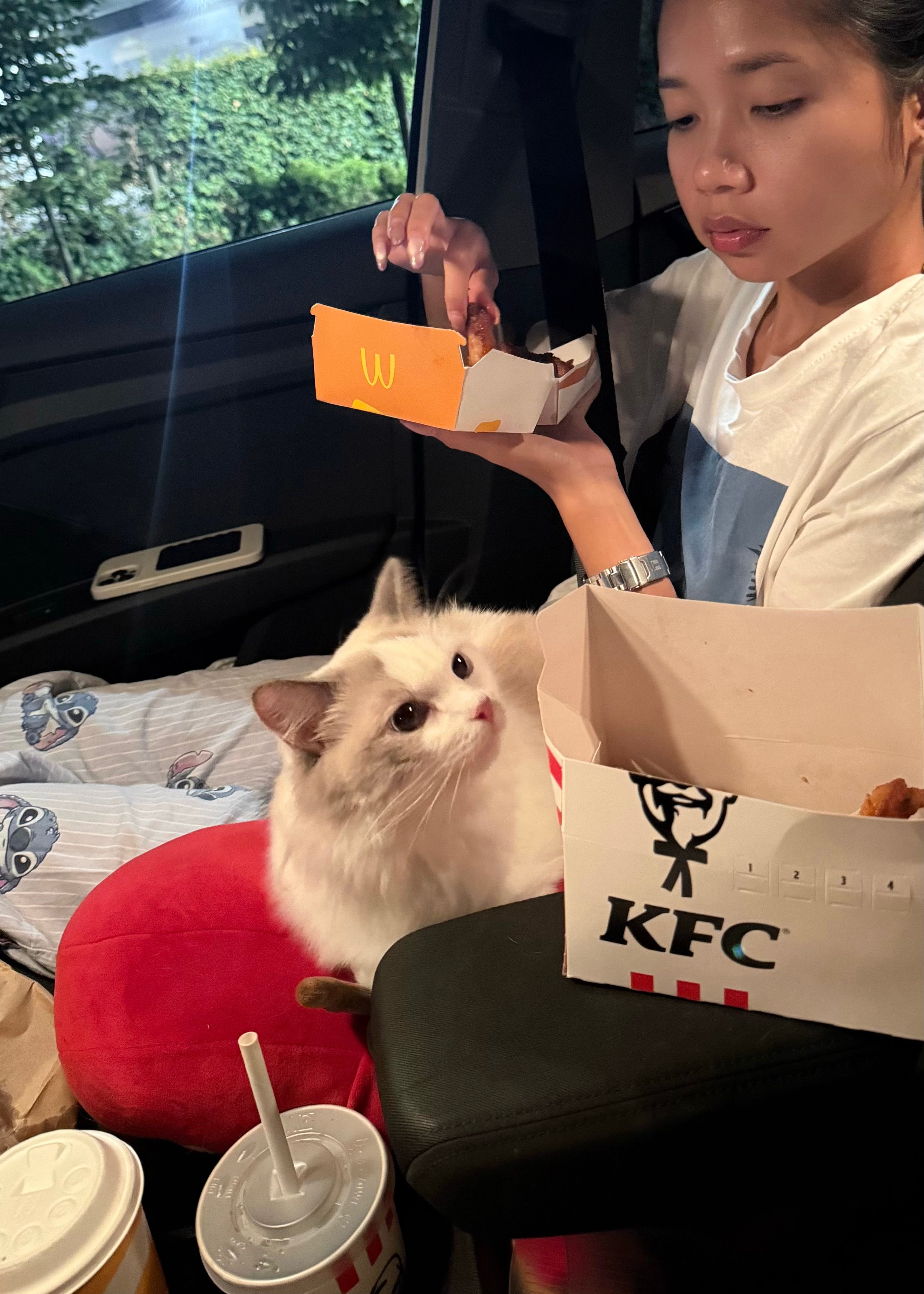 image-17