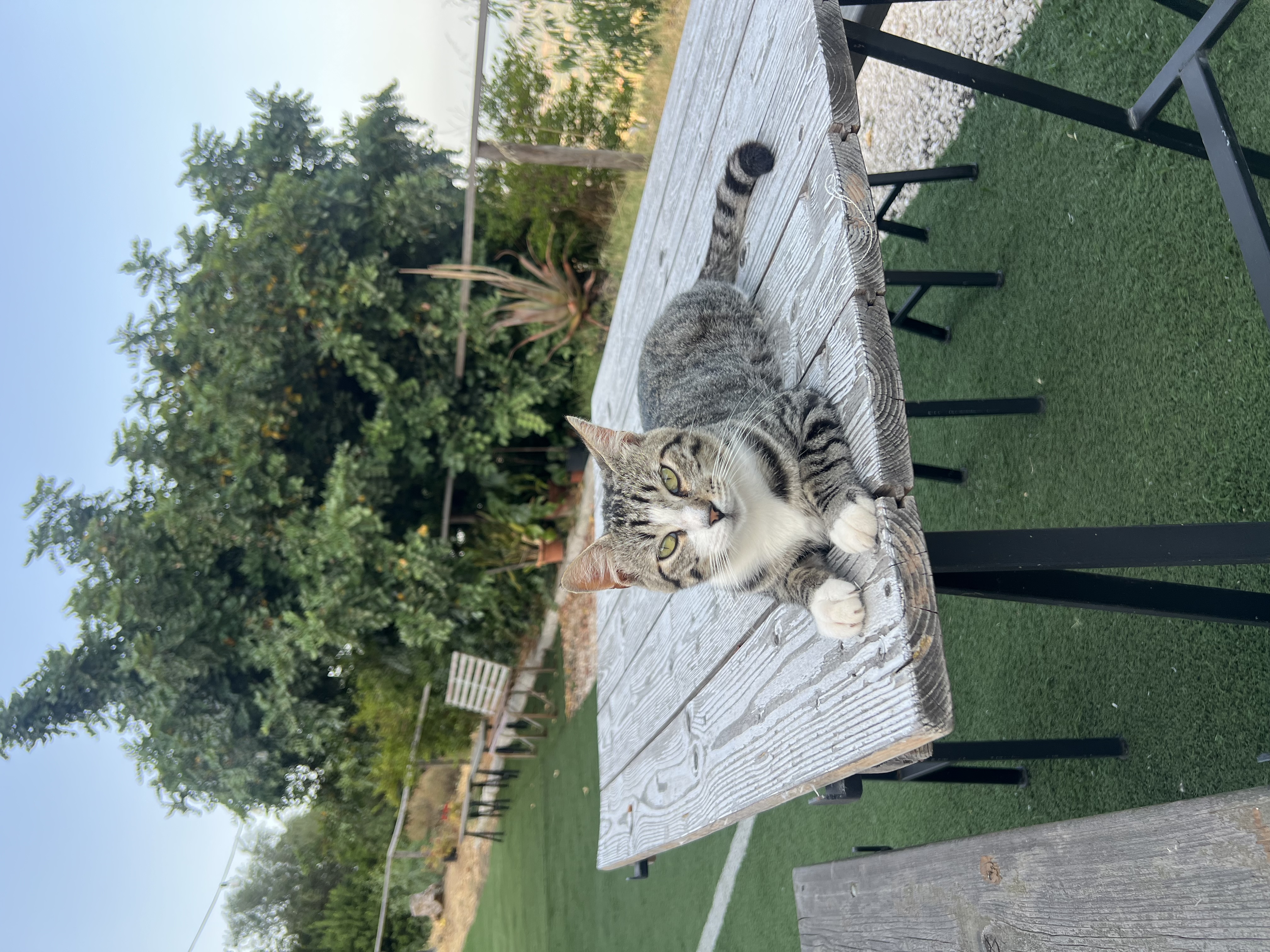 image-13
