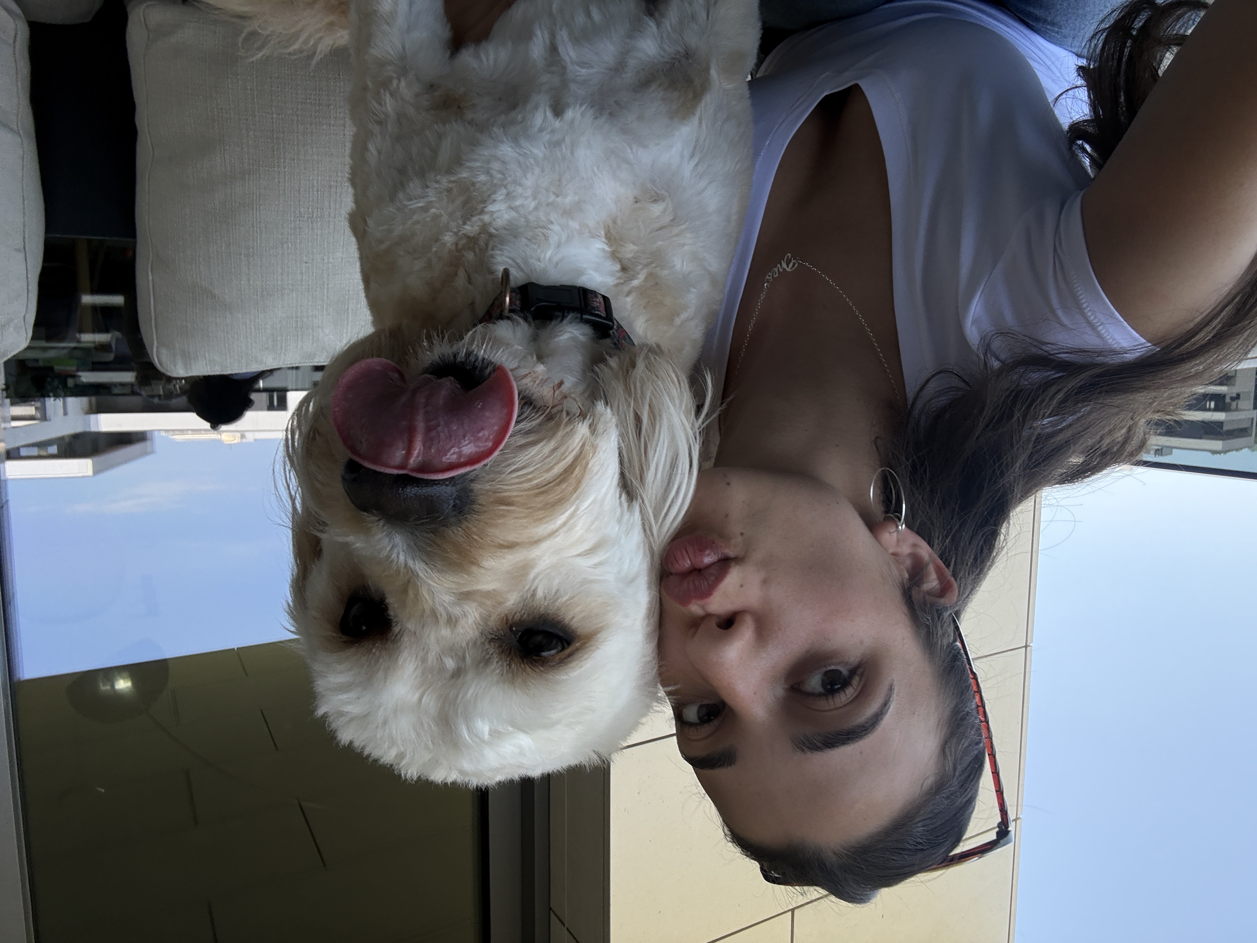 image-2
