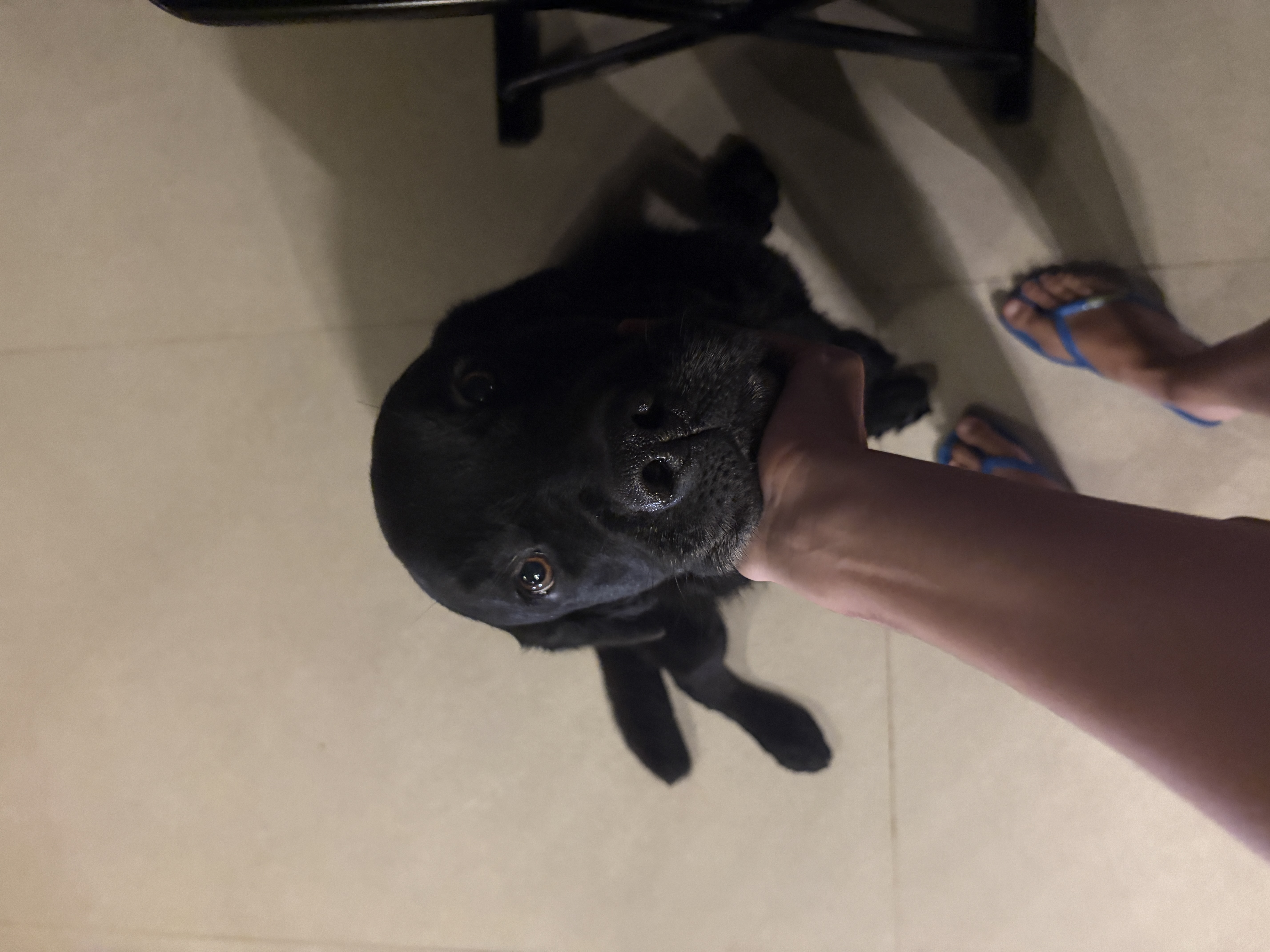 image-6