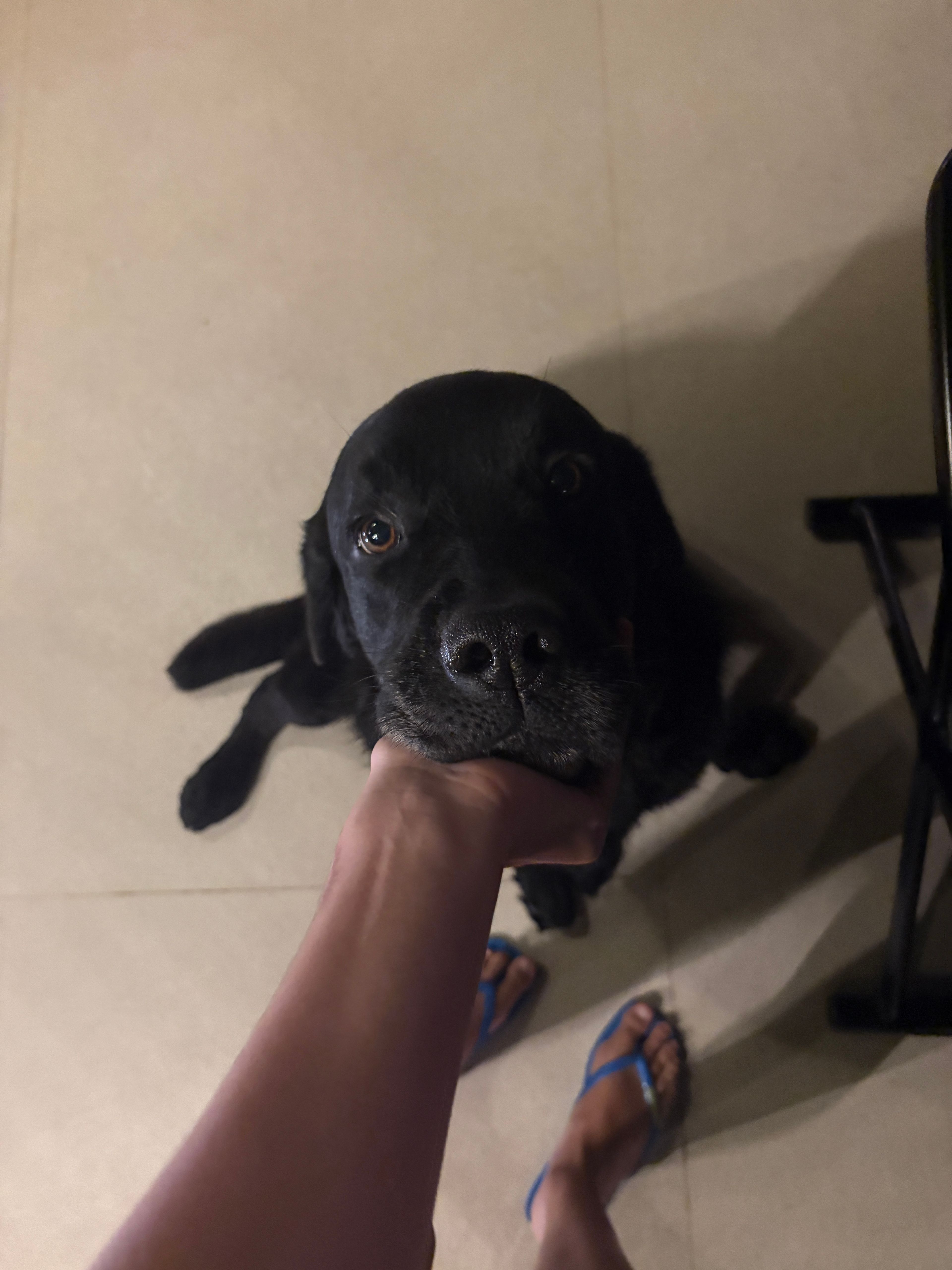 image-6