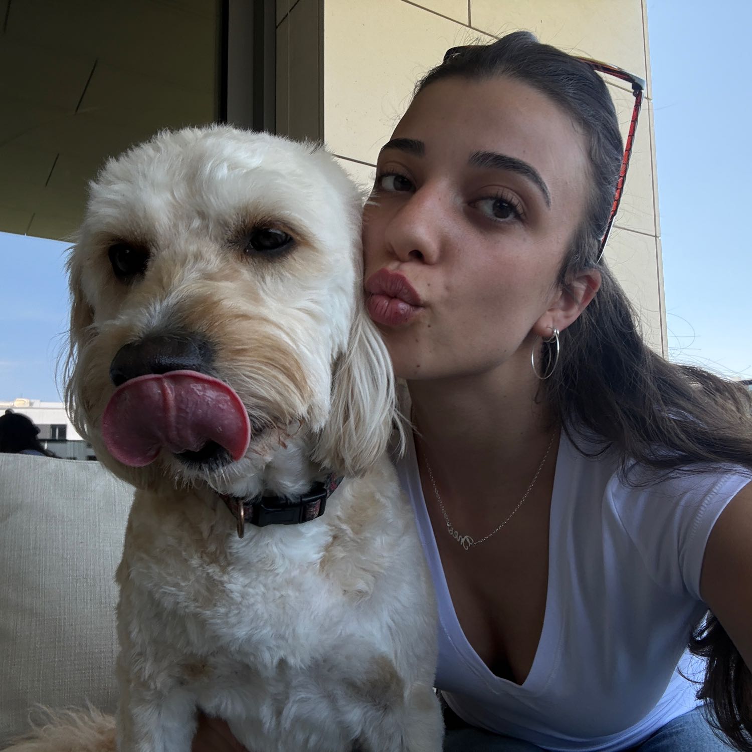 Ines
