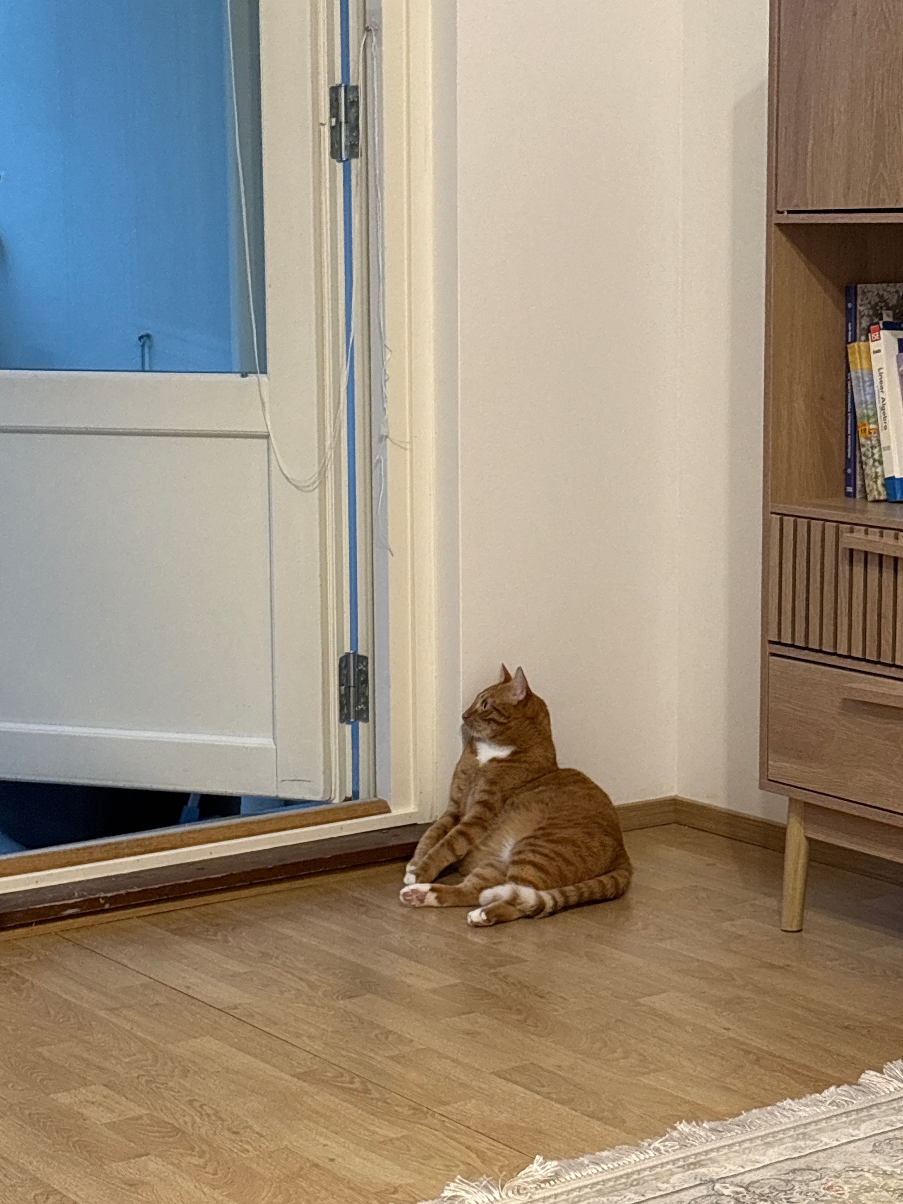 image-9