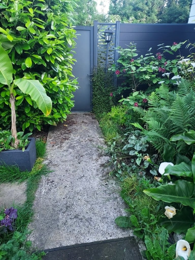 image-47