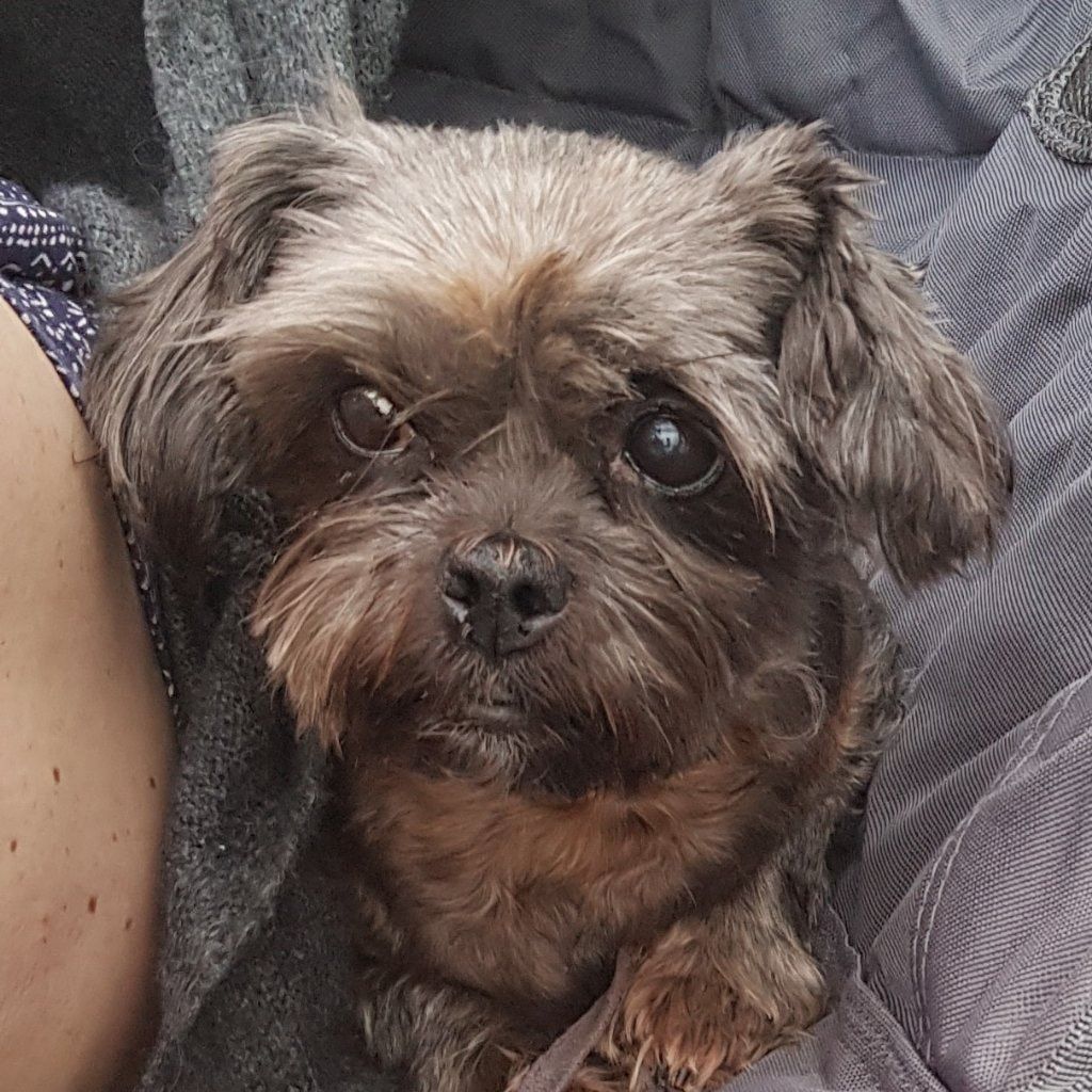 Penny