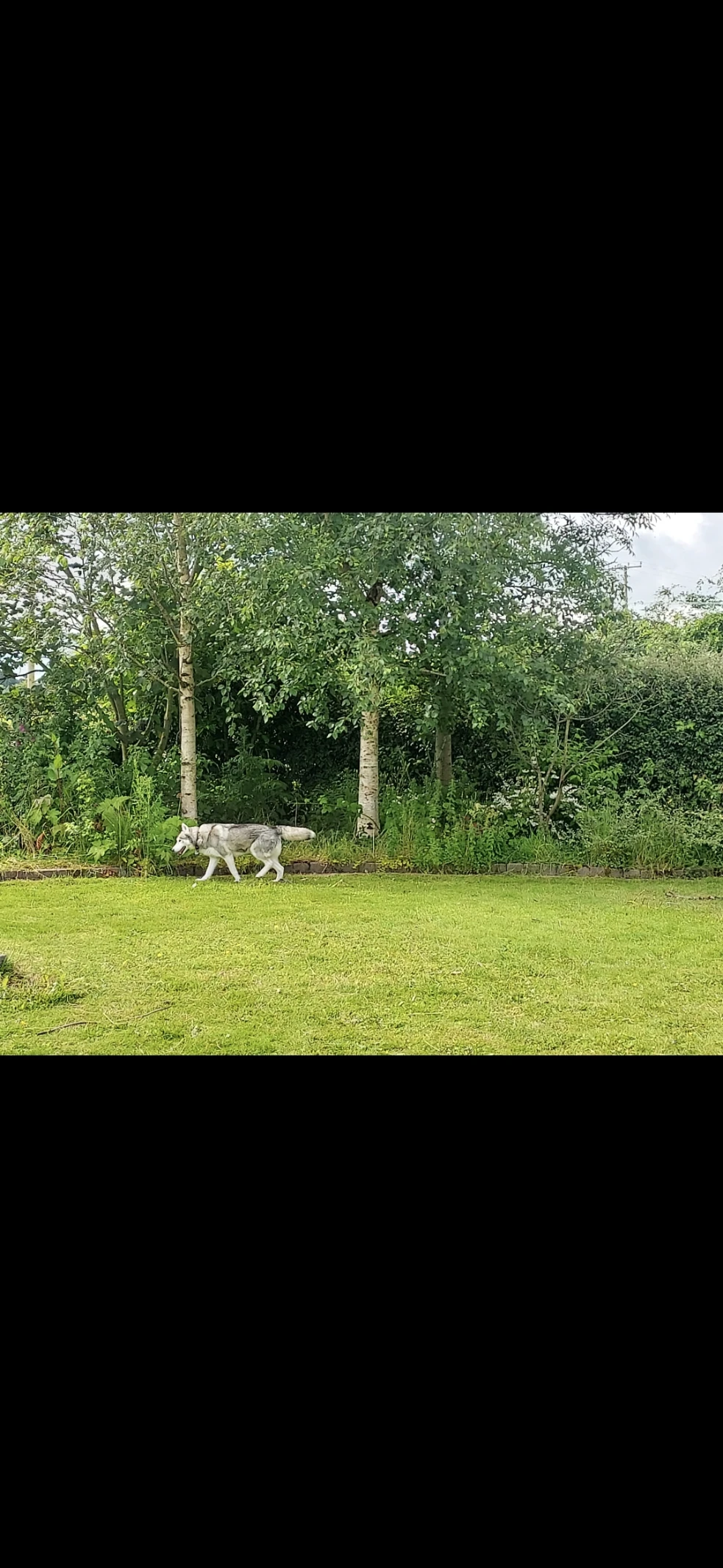 image-44