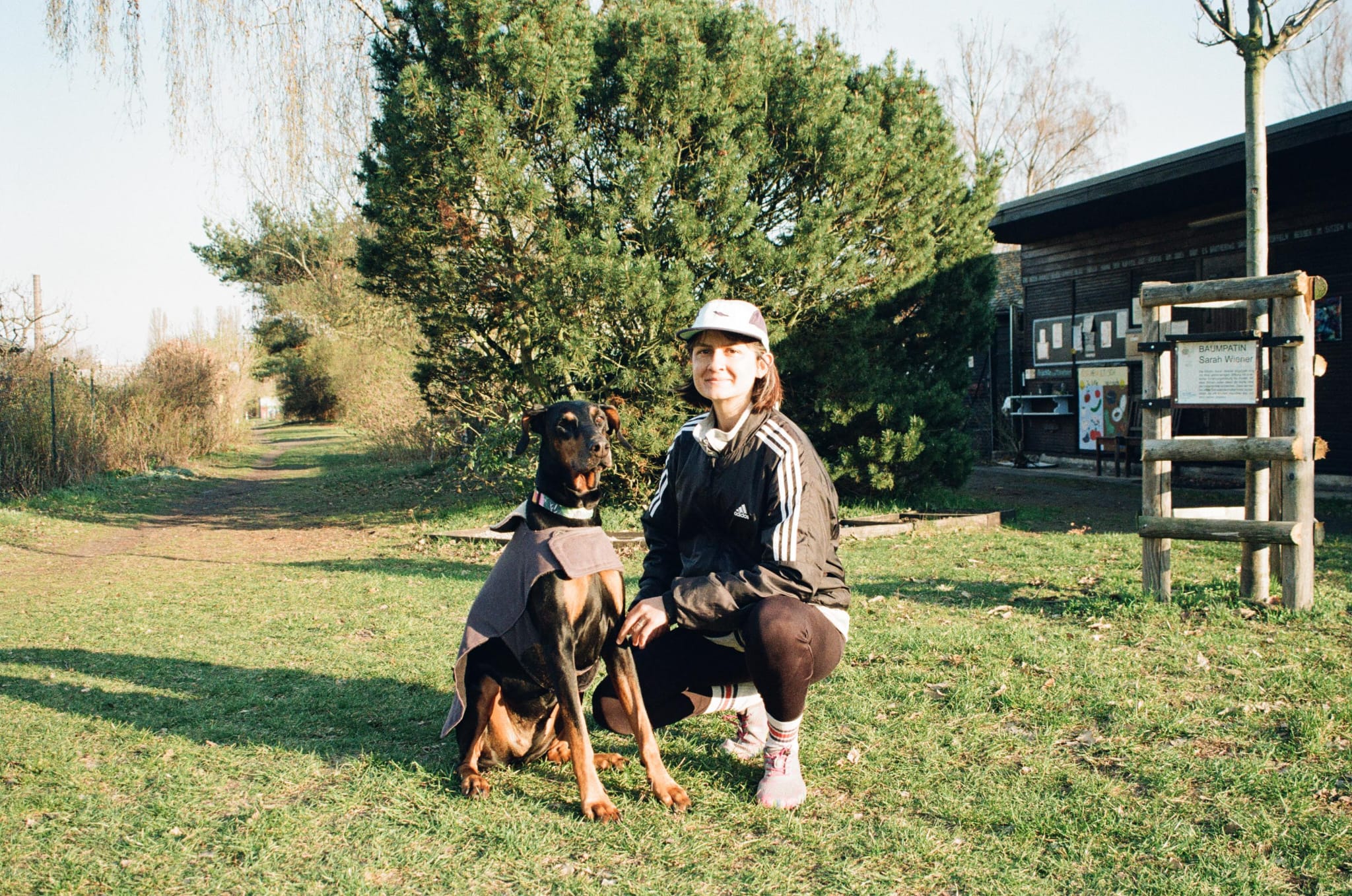 image-8