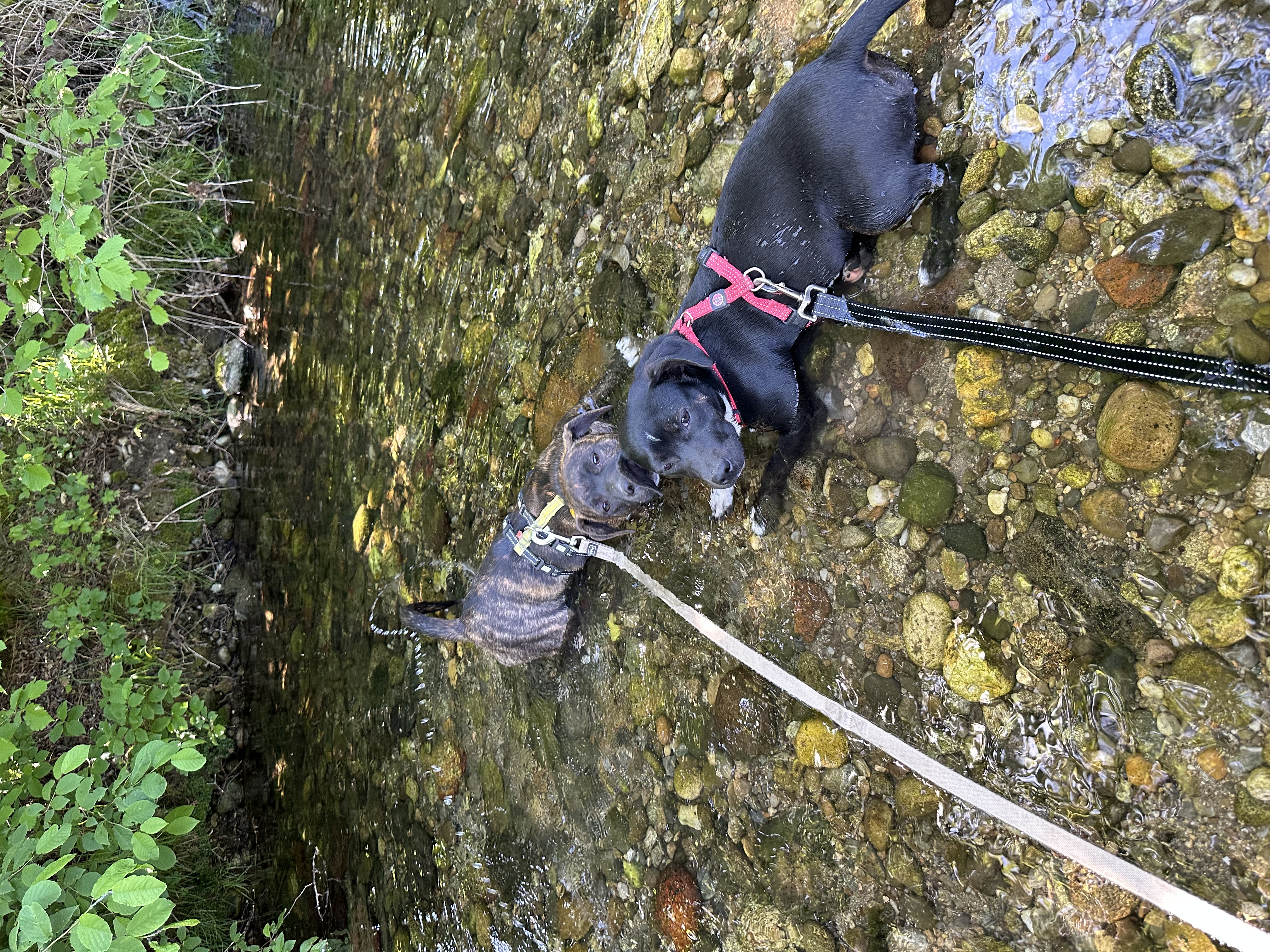 image-6