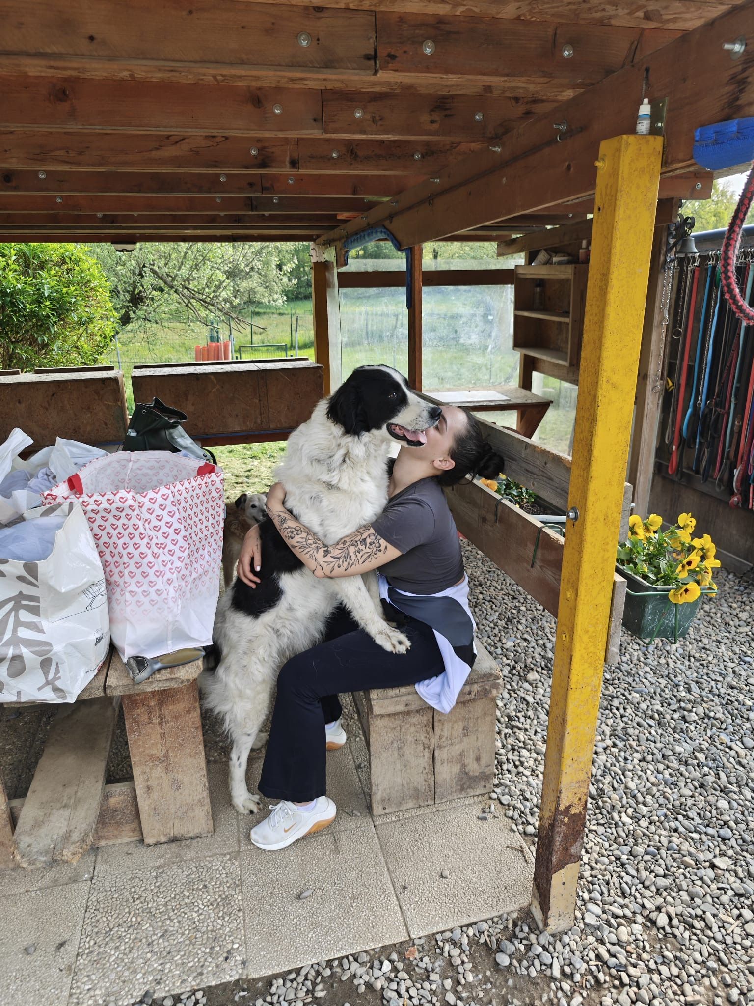 image-3