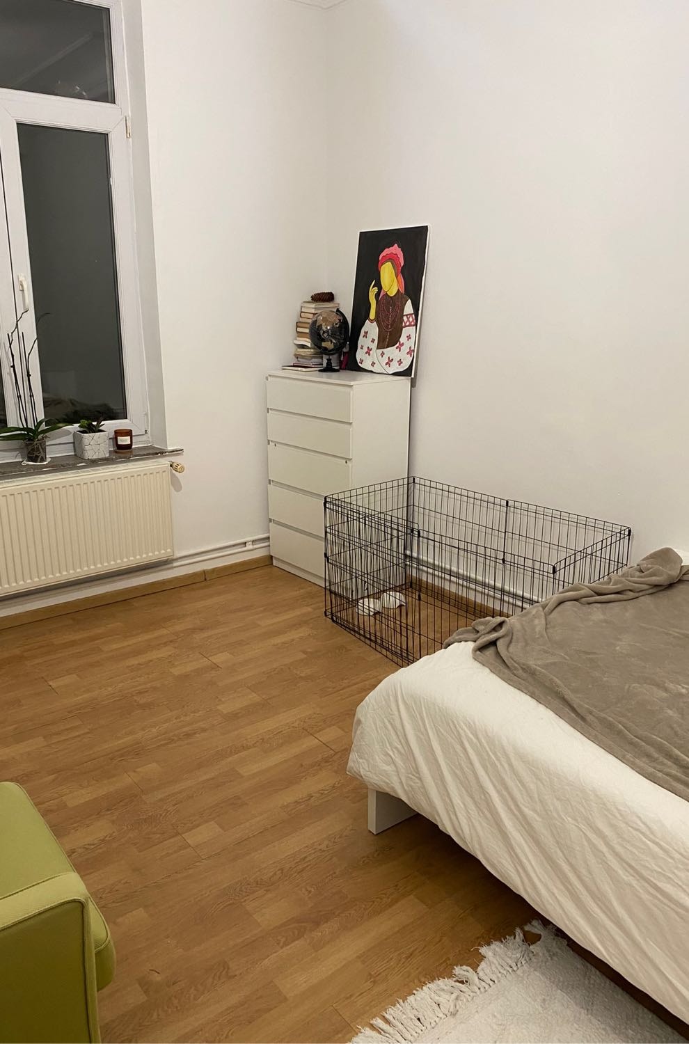 image-7