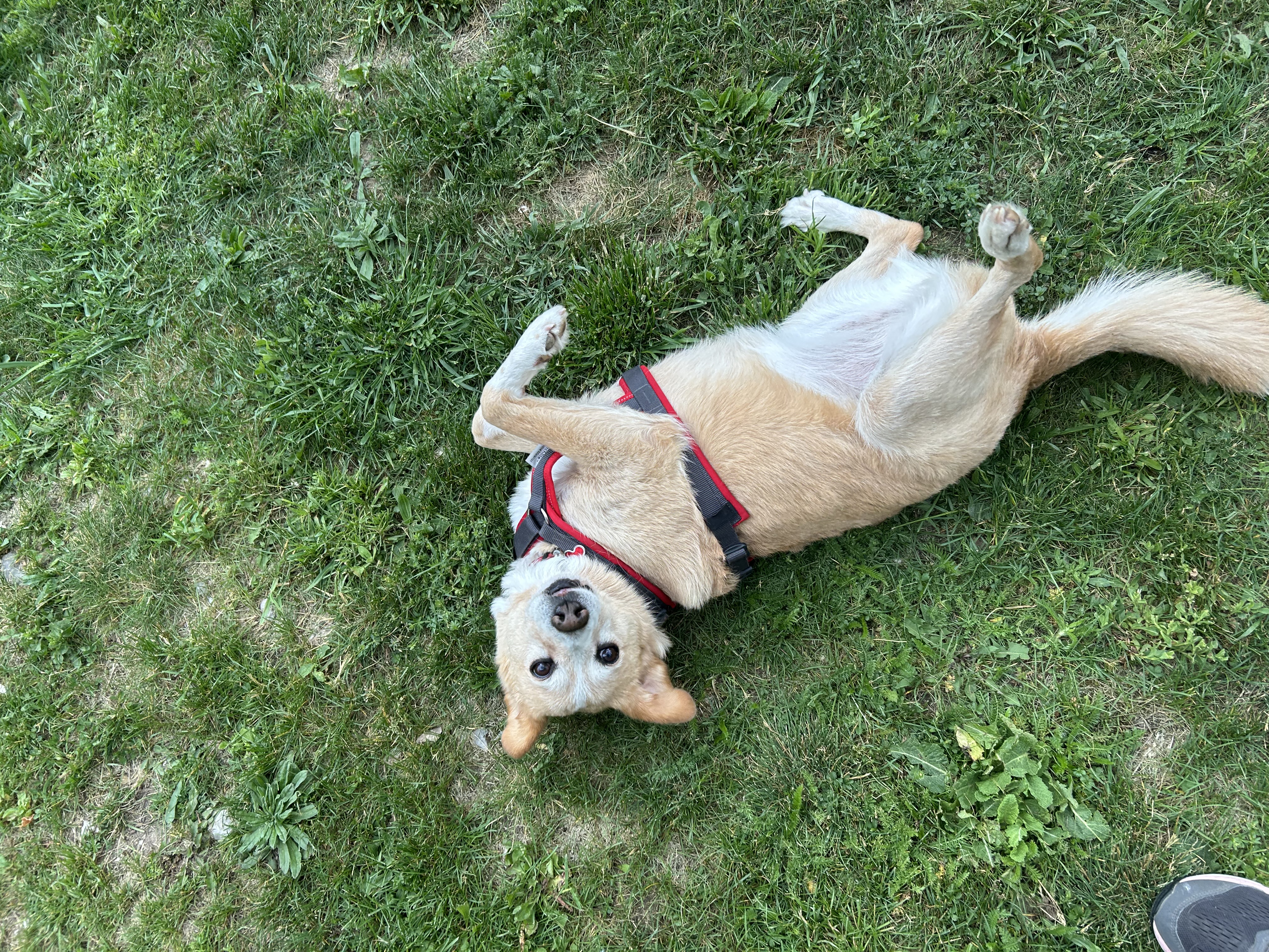 image-9