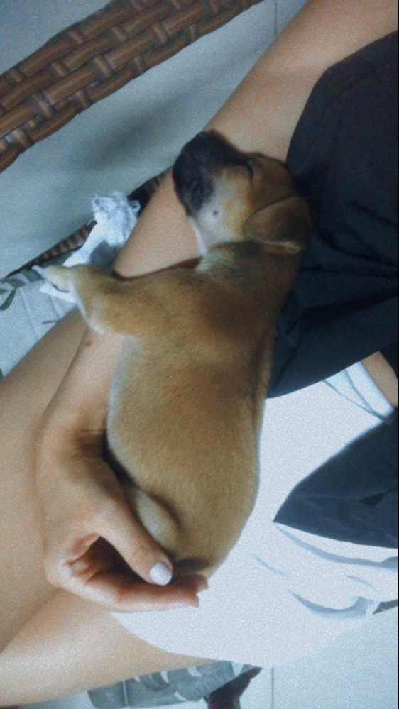 image-8