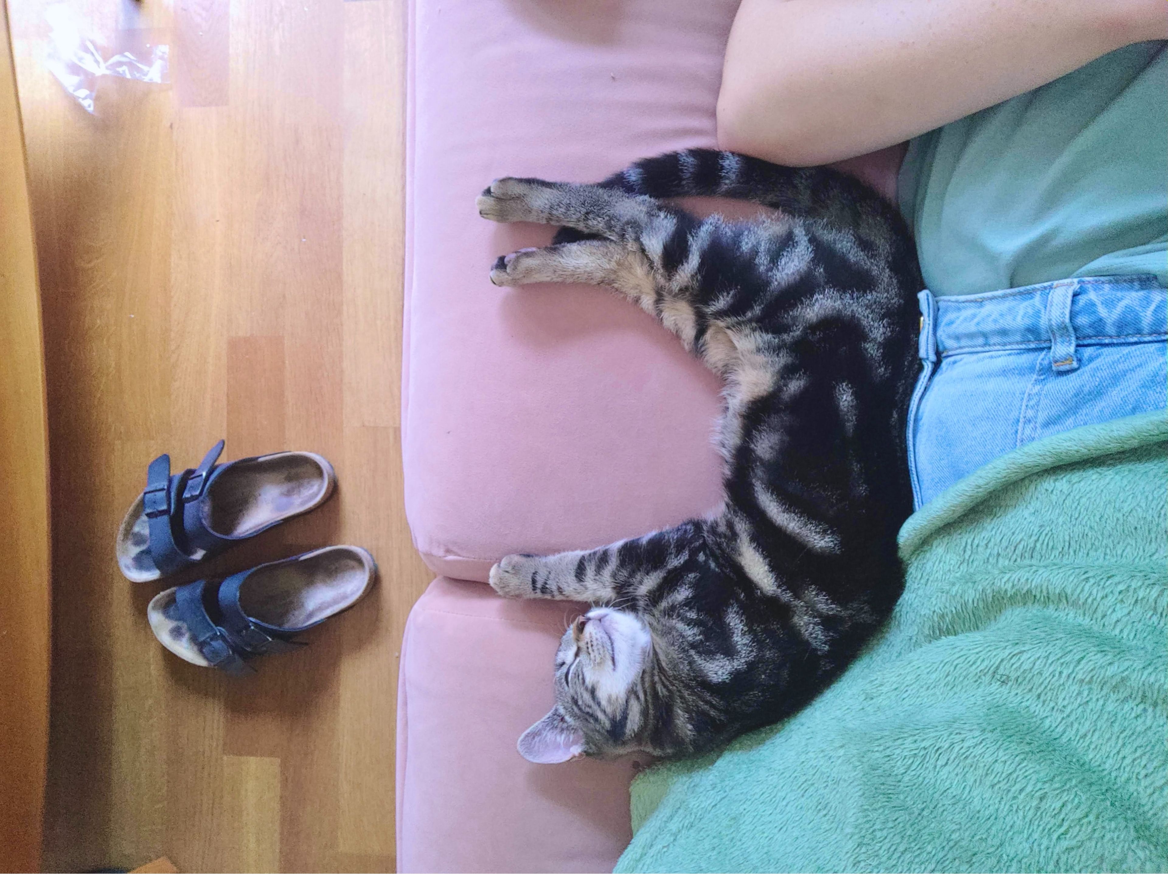 image-7