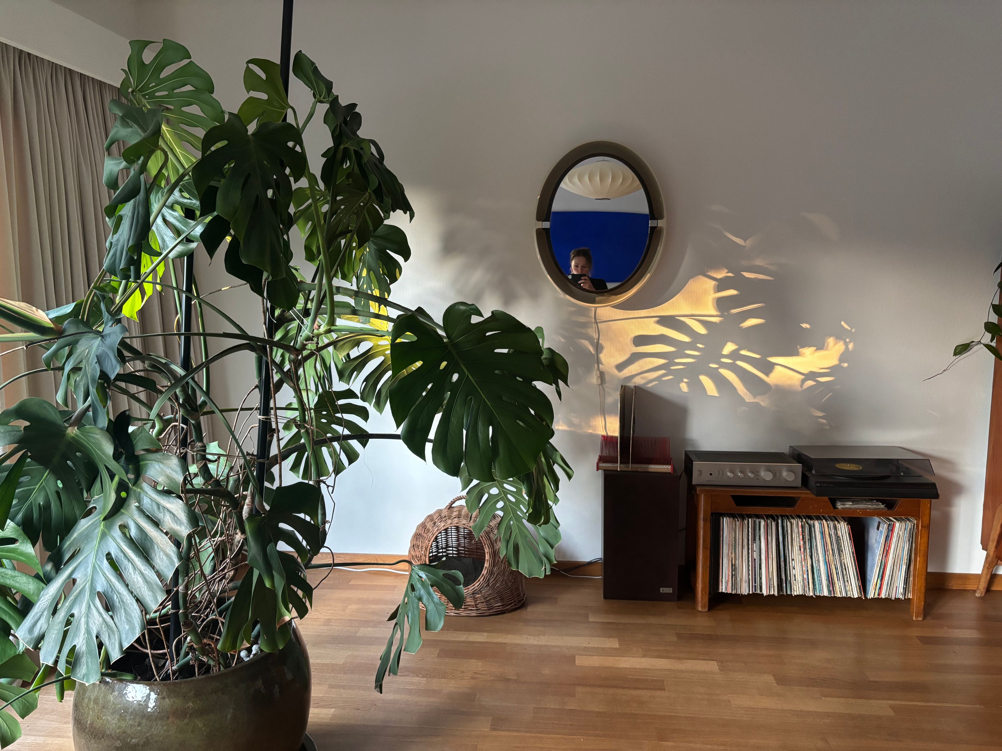 image-14