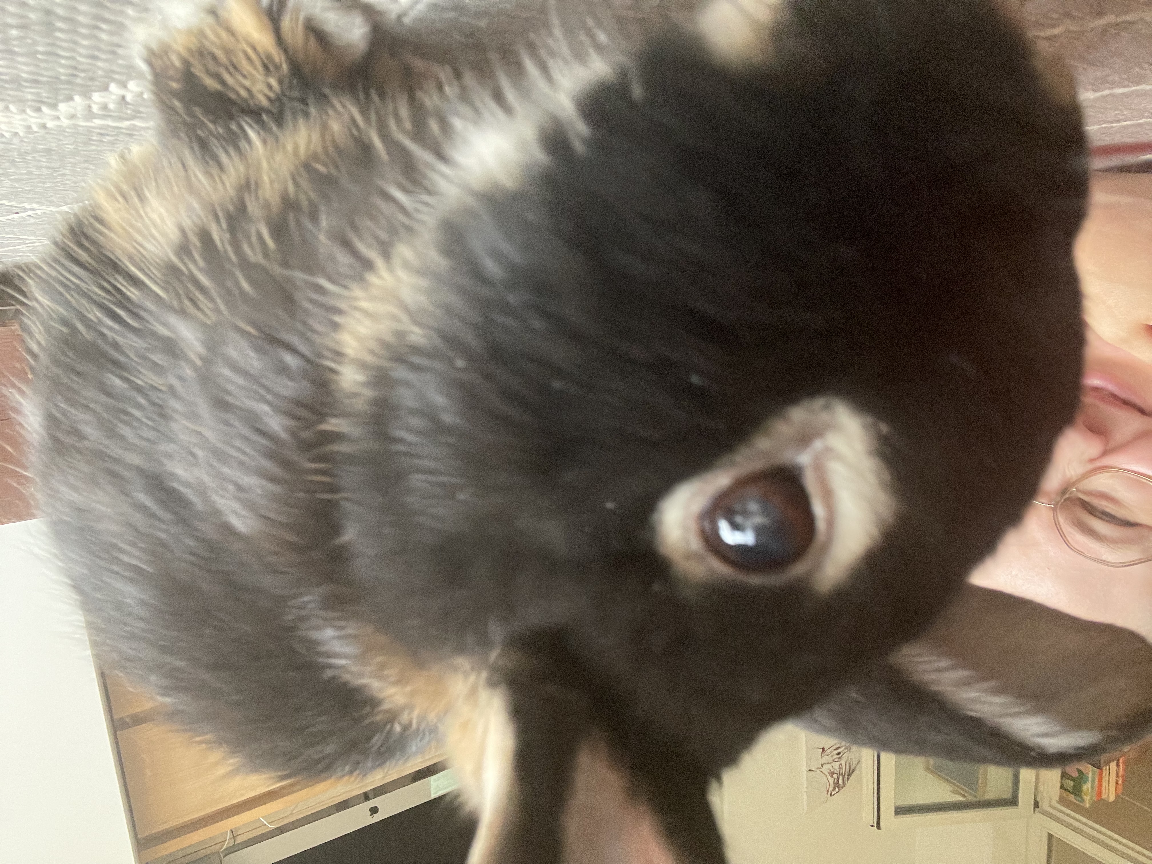 image-8