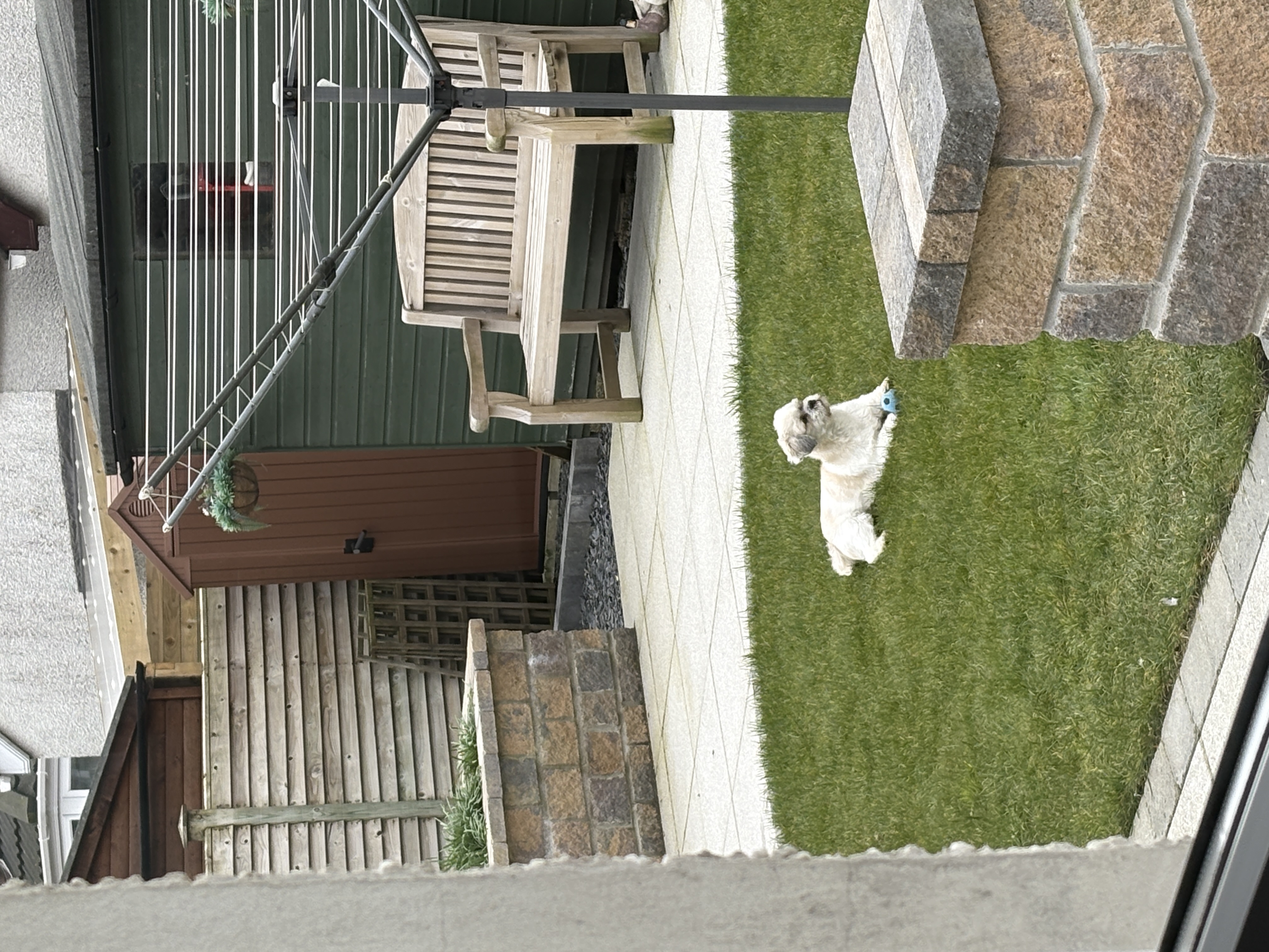 image-15
