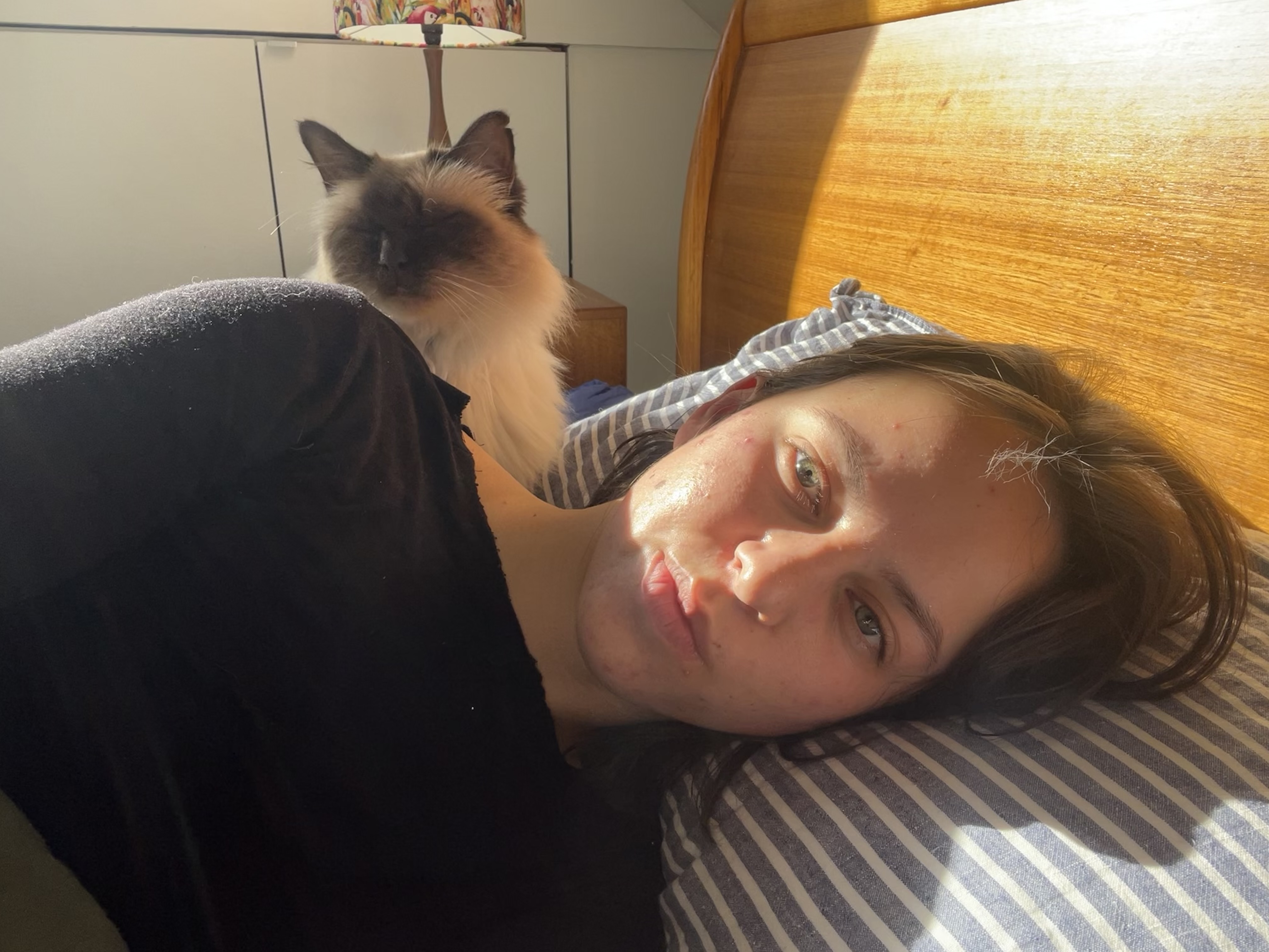 image-8