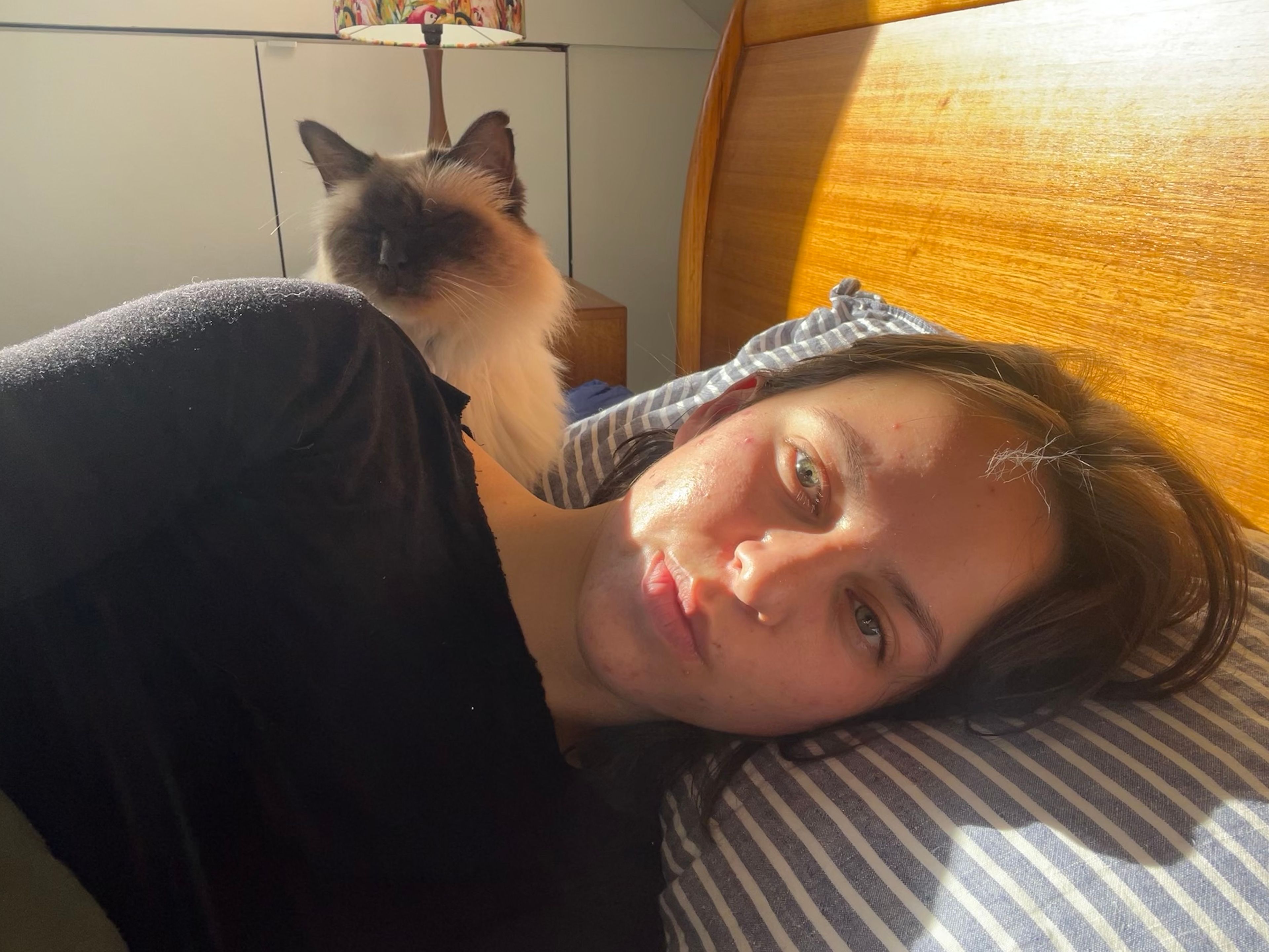 image-8
