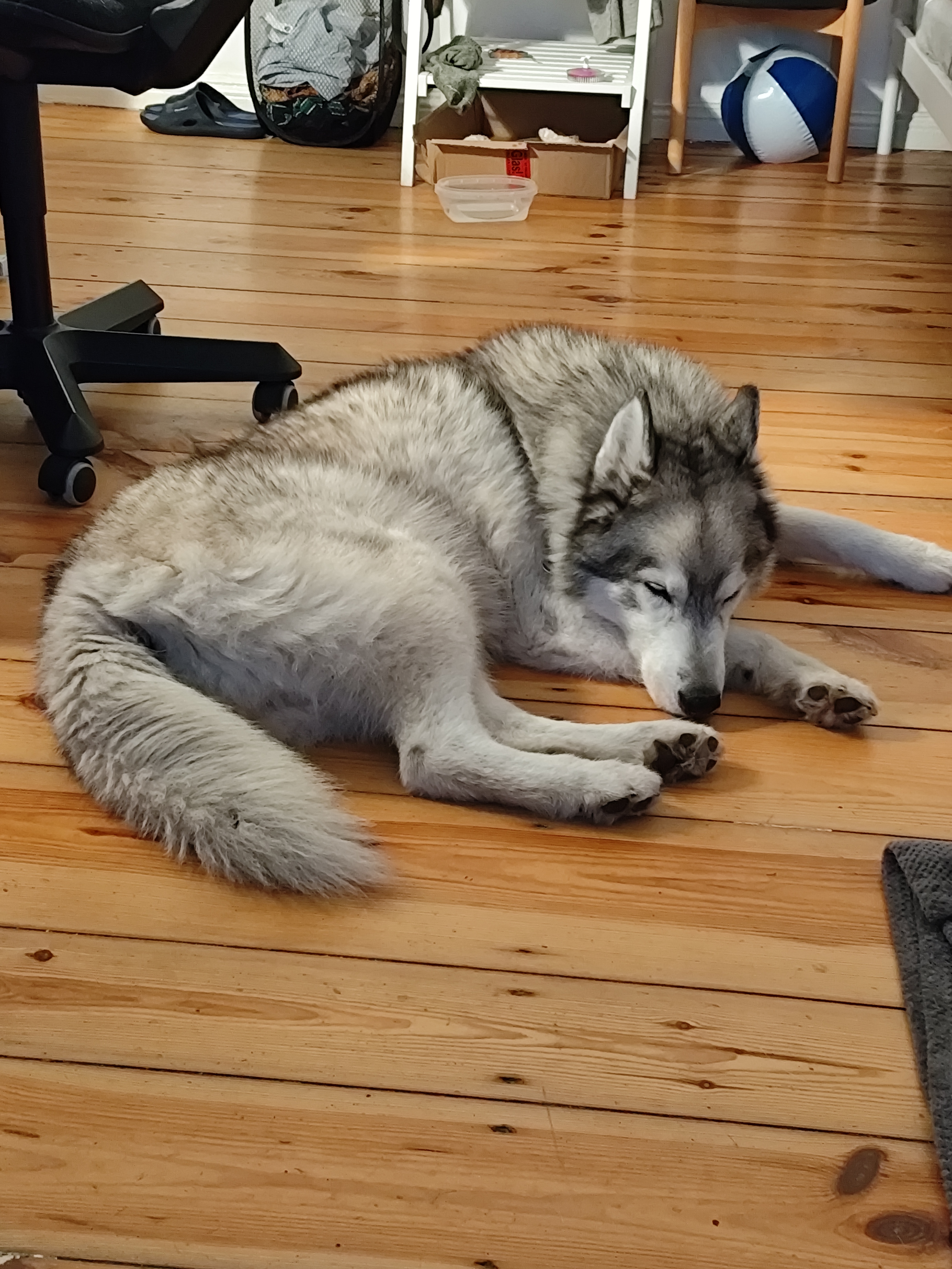image-5